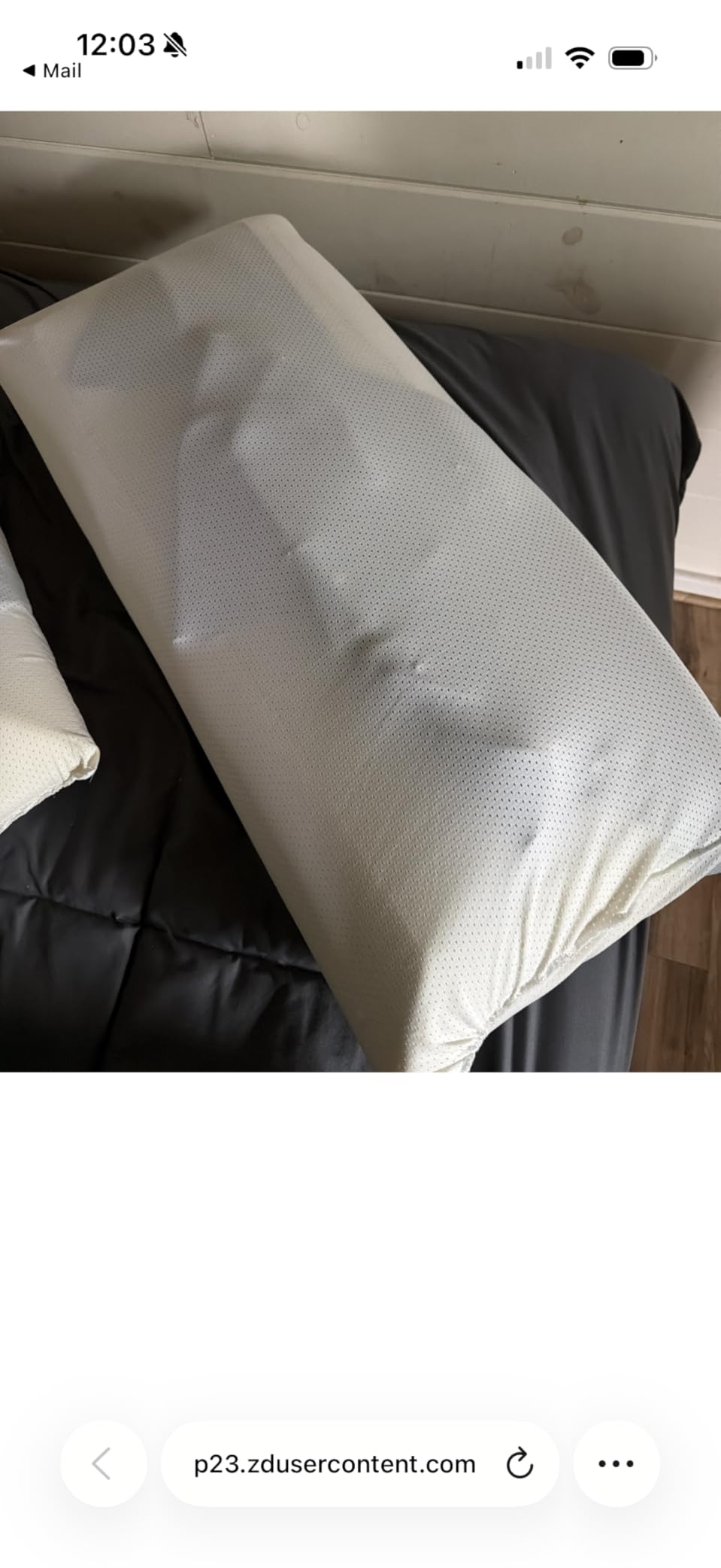 Tempur-Pedic TEMPUR-Cloud Dual Cooling Pillow, Queen, White customer photo 2