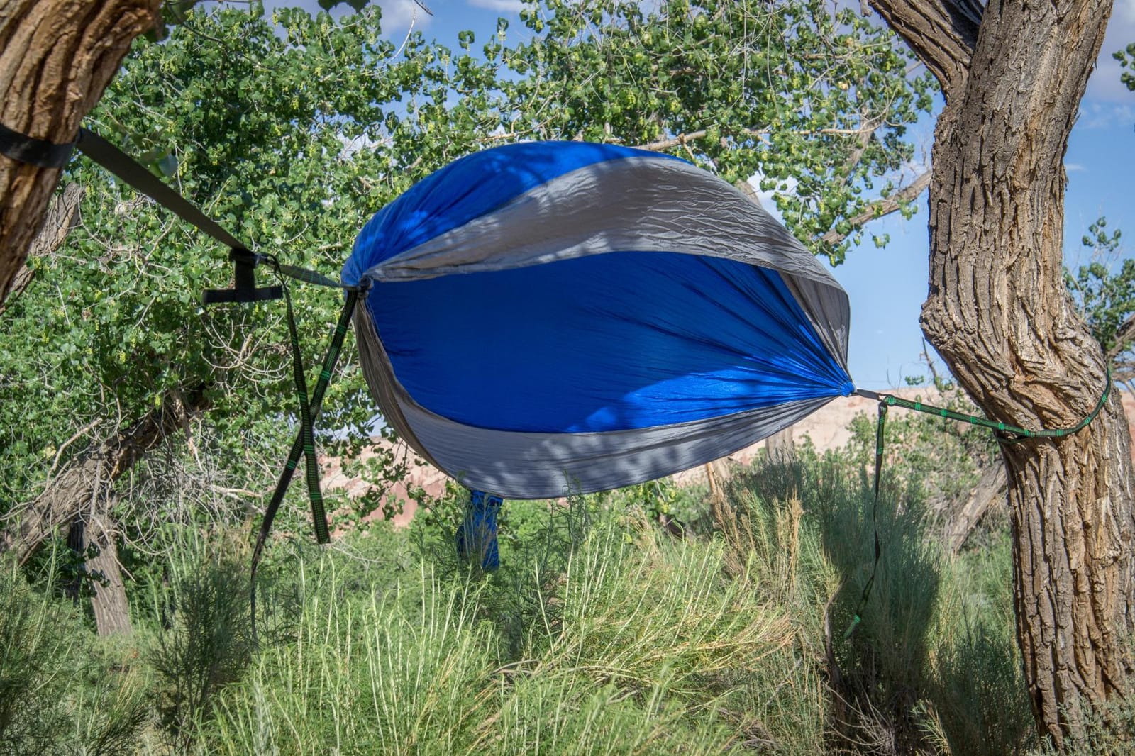 Bear Butt Camping Hammock - Hammock - Camping Gear - 2 Person Hammock - Backpacking Tree Hammock - Double Hammock Camping - Hiking Gear - Portable Hammock for Camping - Travel Hammock - Outdoor customer photo 2