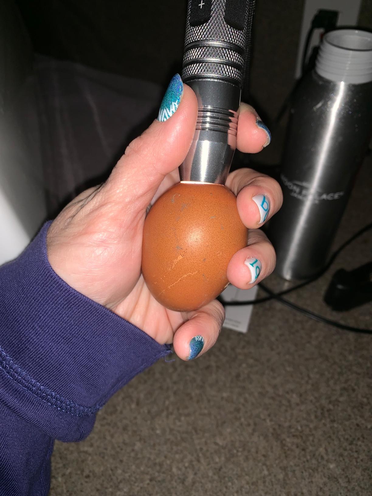 Powerful Professional LED Light Egg Candler Incubator Stainless Steel Tester for All Egg Type, Ultra Bright, Powered Portable, with Full Illustrated Egg Candling Guide (B- Include Batteries) customer photo 2
