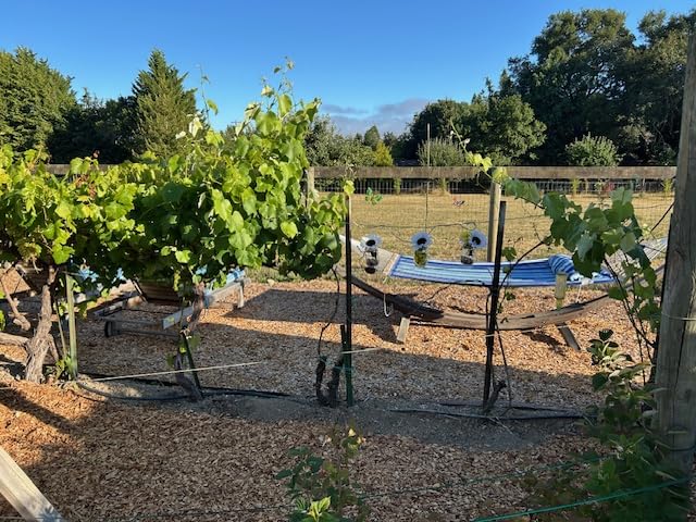 Sunnydaze Quilted Double Hammock for Outside with Pillow, Mountainside customer photo 2