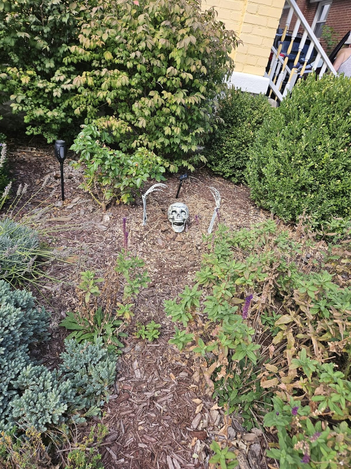 AISENO Realistic Skeleton Stakes Halloween Decorations for Lawn Stakes Garden Halloween Skeleton Decoration Outdoor customer photo 2