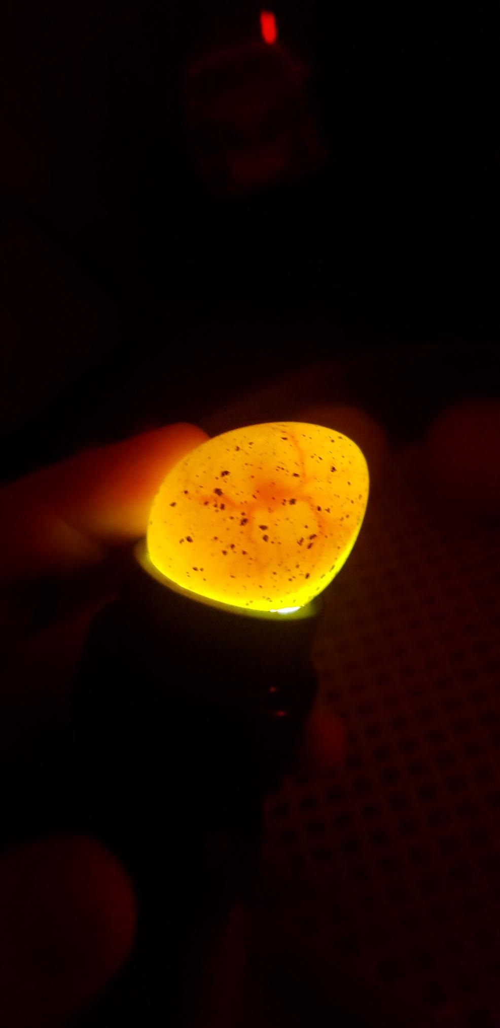 HBlife Wired LED Egg Candler, Bright Cool Light Egg Candler Tester for Monitoring Egg Development with 2 Soft Rubber customer photo 2