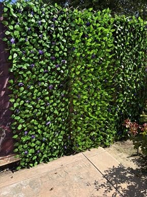 Expandable Fence Privacy Screen for Balcony Patio Outdoor,Decorative Faux Ivy Fencing Panel,Artificial Hedges (Single Sided Leaves)…… customer photo 2