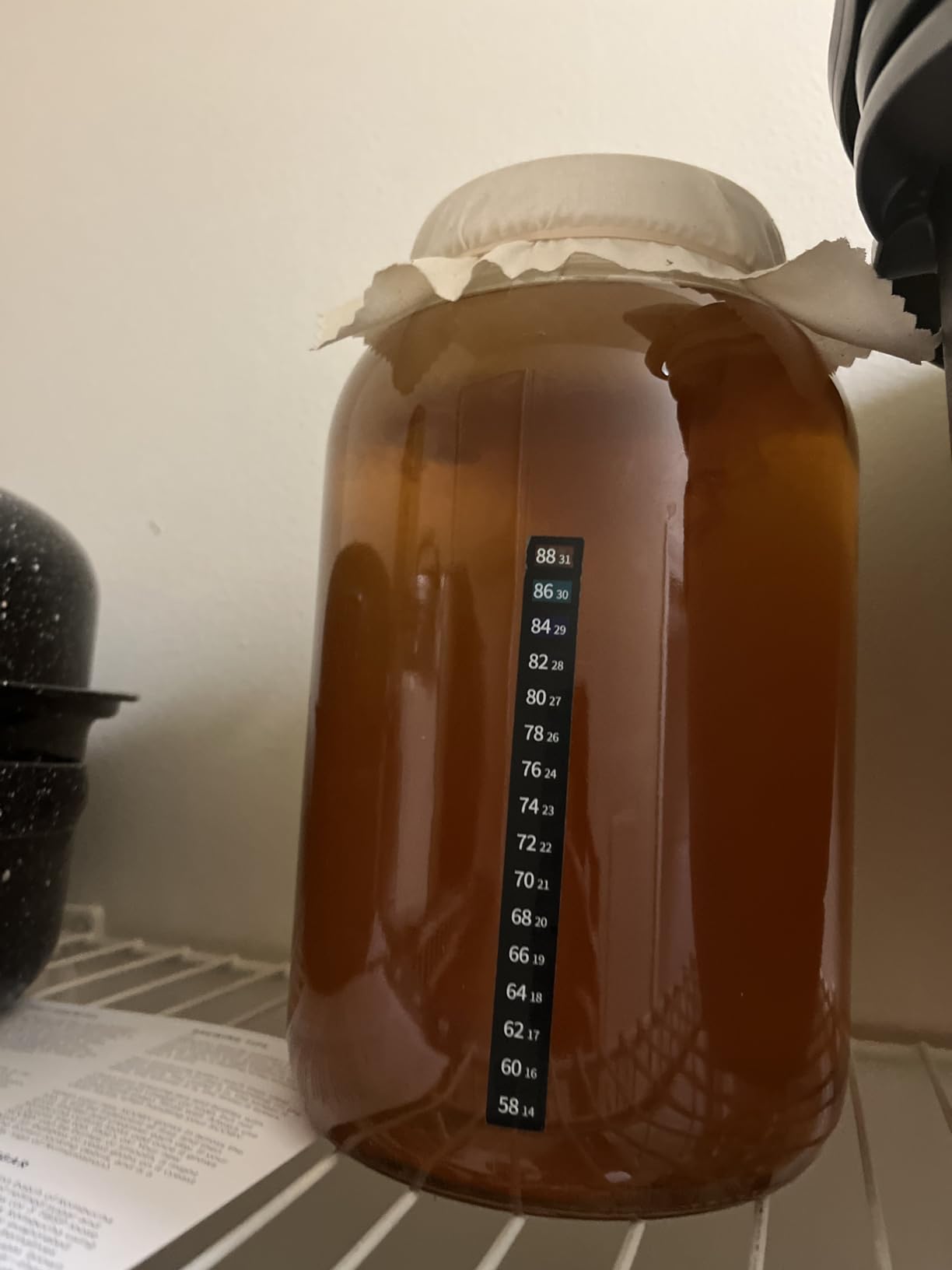 Starter Kit – Includes Organic SCOBY, Starter Liquid, 1 Gallon Glass Jar, Temp Gauge, Tea, and Sugar customer photo 2