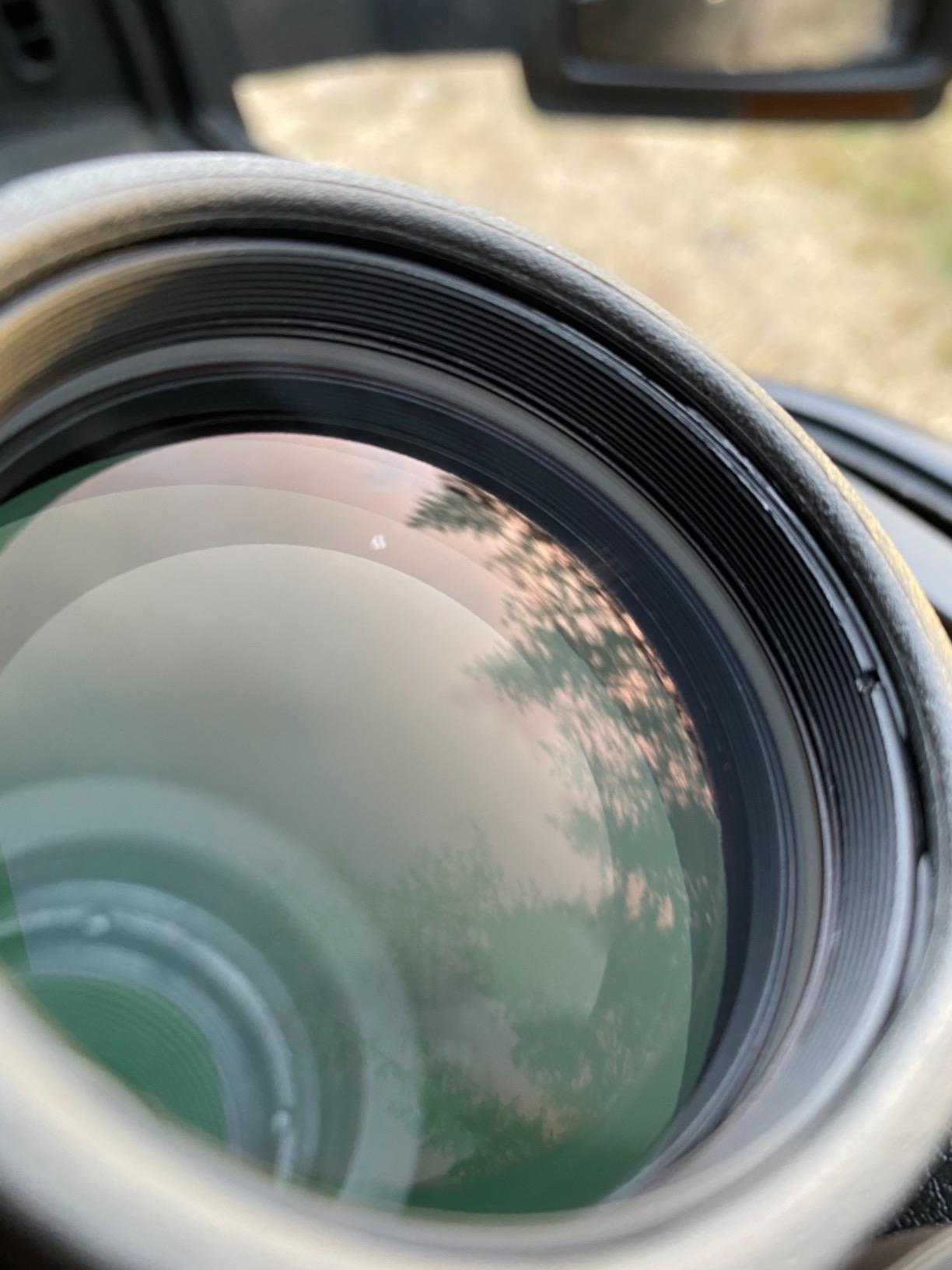 Maven C.3 12x50mm ED Binoculars | Waterproof Hunting and Birding Optics customer photo 2