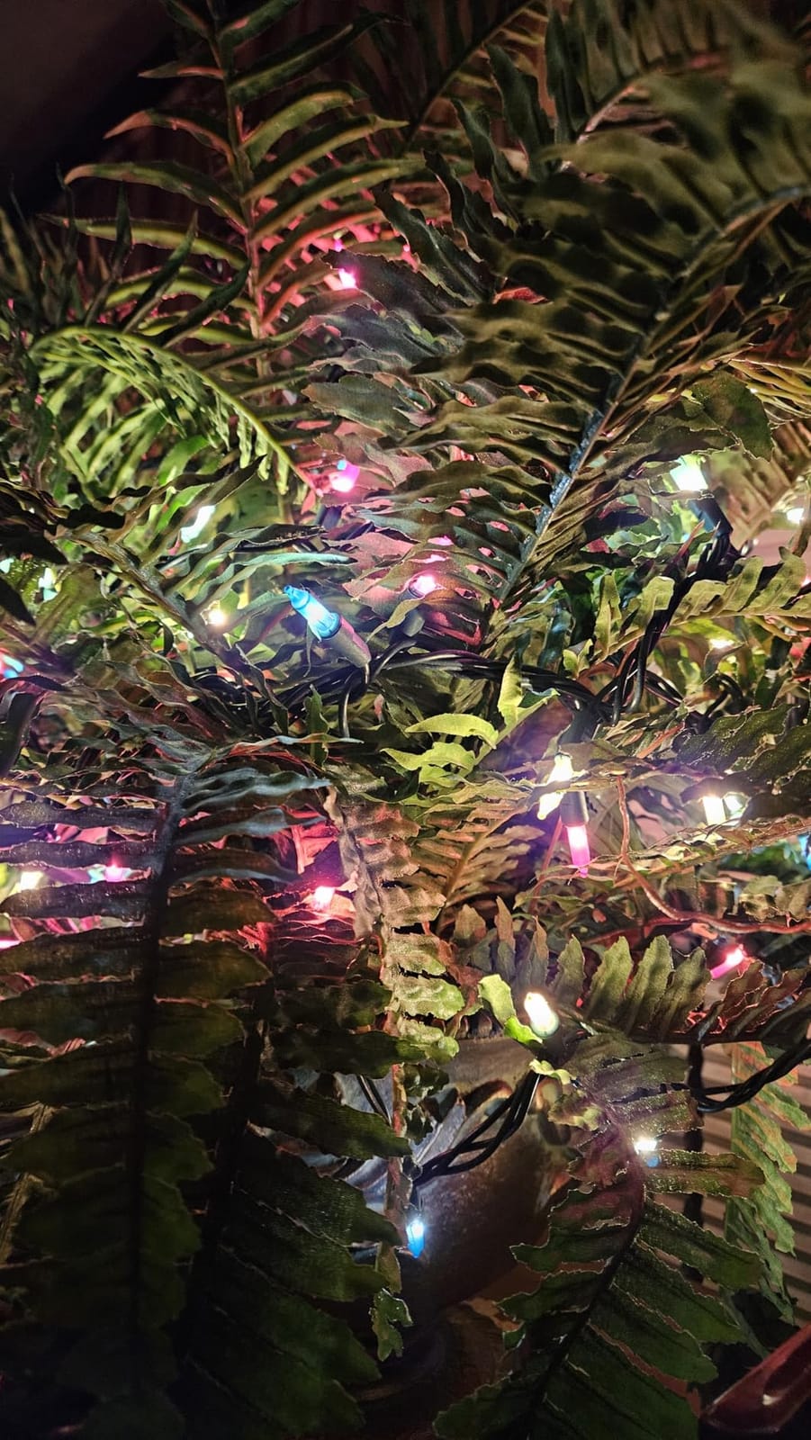 Minetom Clear Christmas String Lights 100 Count 20 Feet Incandescent Bulb customer photo 2