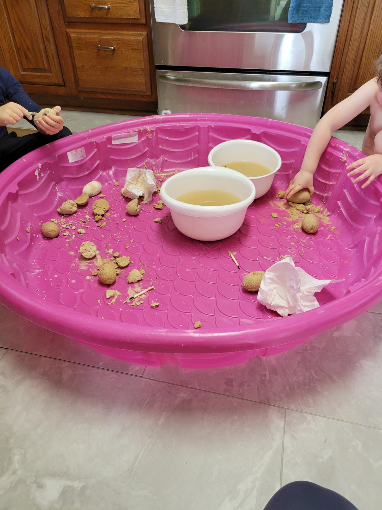Dig a Dozen Dino Egg Kit for Kids - 12 Eggs & Surprise Dinosaurs customer photo 2