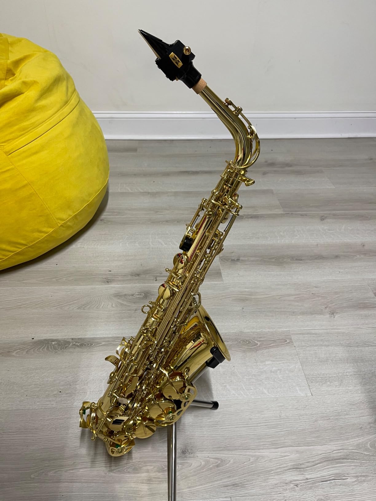 Eastar Alto Saxophone Beginner Student Eb Sax, Golden Full Kit, AS-II customer photo 2