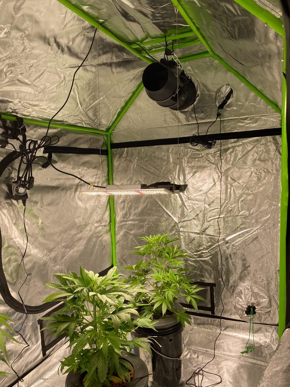 VIVOSUN 4x5 Grow Tent 60