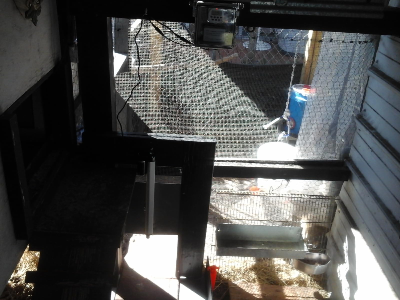 JVR Automatic Chicken Coop Door, Timer, Anti-Pinch, Aluminum Predator Proof customer photo 2
