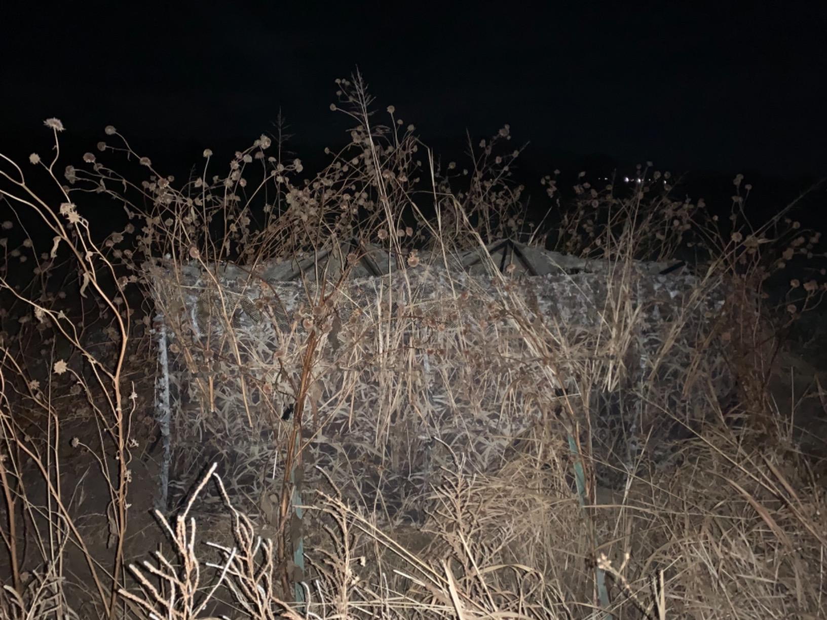AUSCAMOTEK Pop Up Ground Blind for Deer Duck Turkey Hunting Portable Quick Setup Lightweight Green/Brown/Dry Grass Ground Peg Included customer photo 1