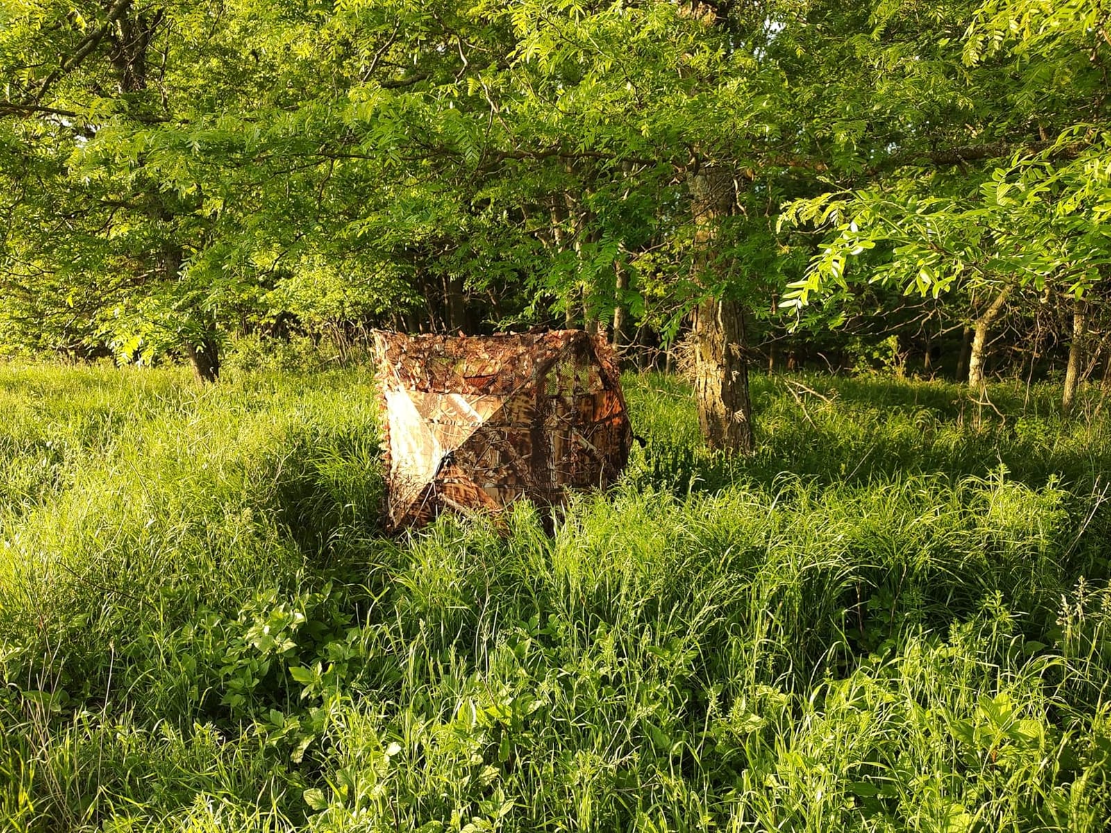 AUSCAMOTEK Pop Up Ground Blind for Deer Duck Turkey Hunting Portable Quick Setup Lightweight Green/Brown/Dry Grass Ground Peg Included customer photo 2