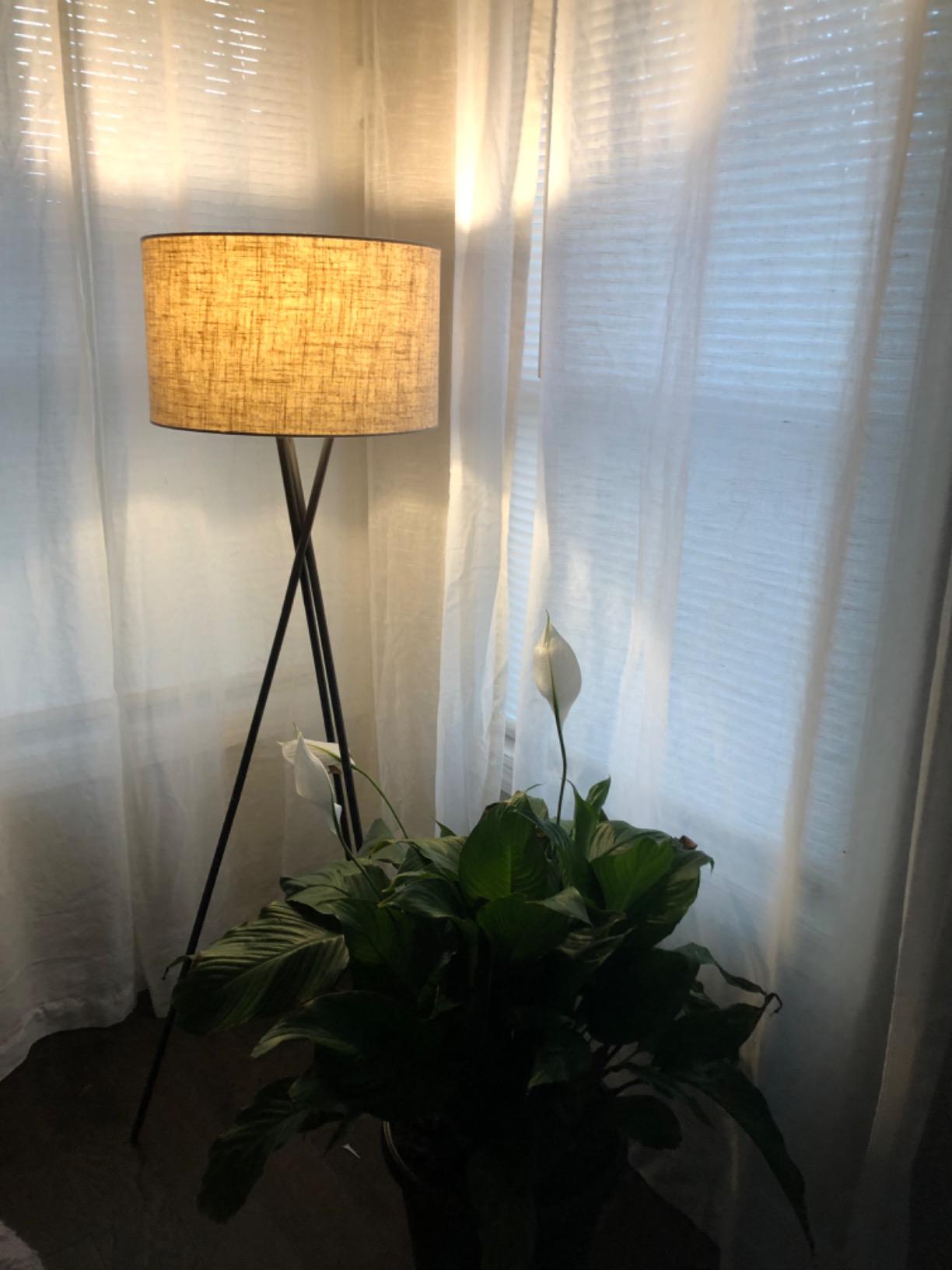 Kira Home Sadie 60