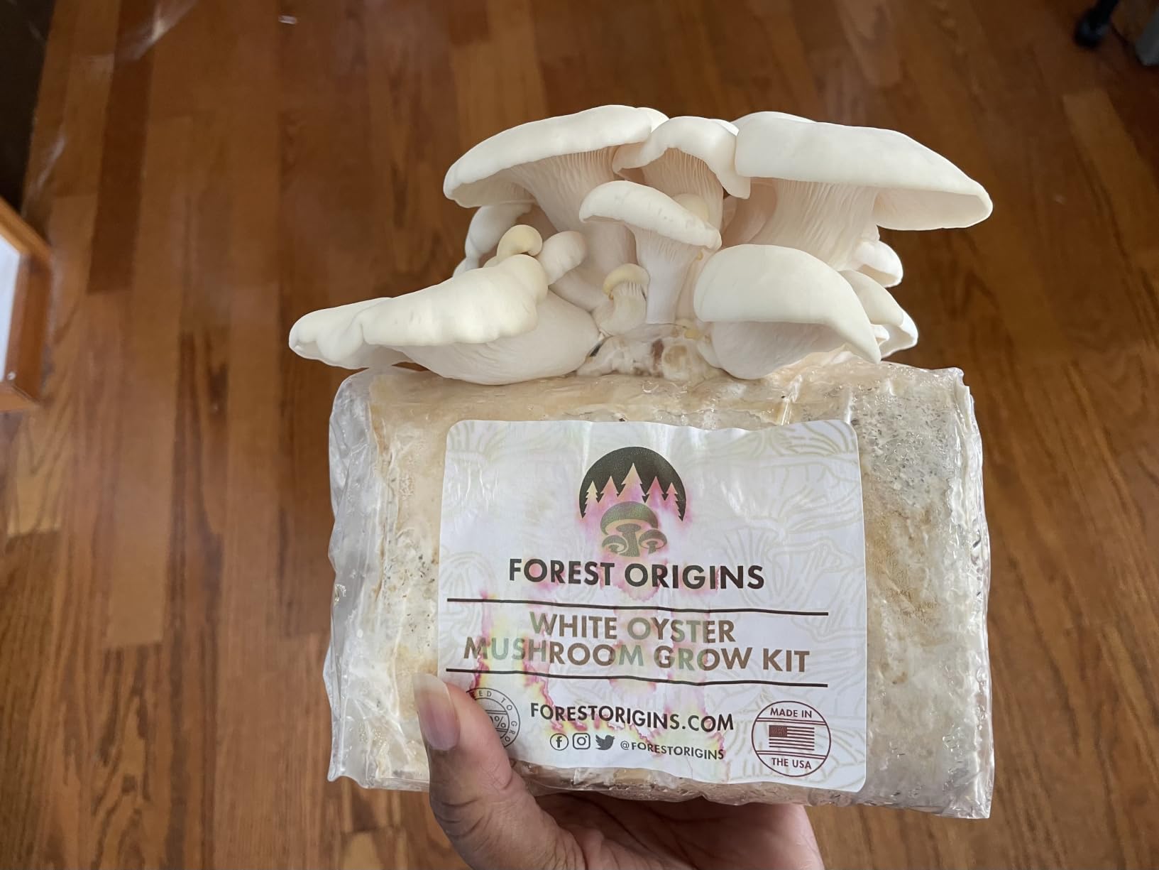 Forest Origins Specialty Trio Oyster Mushroom Kits, Pink Brown White 3-Pack customer photo 2