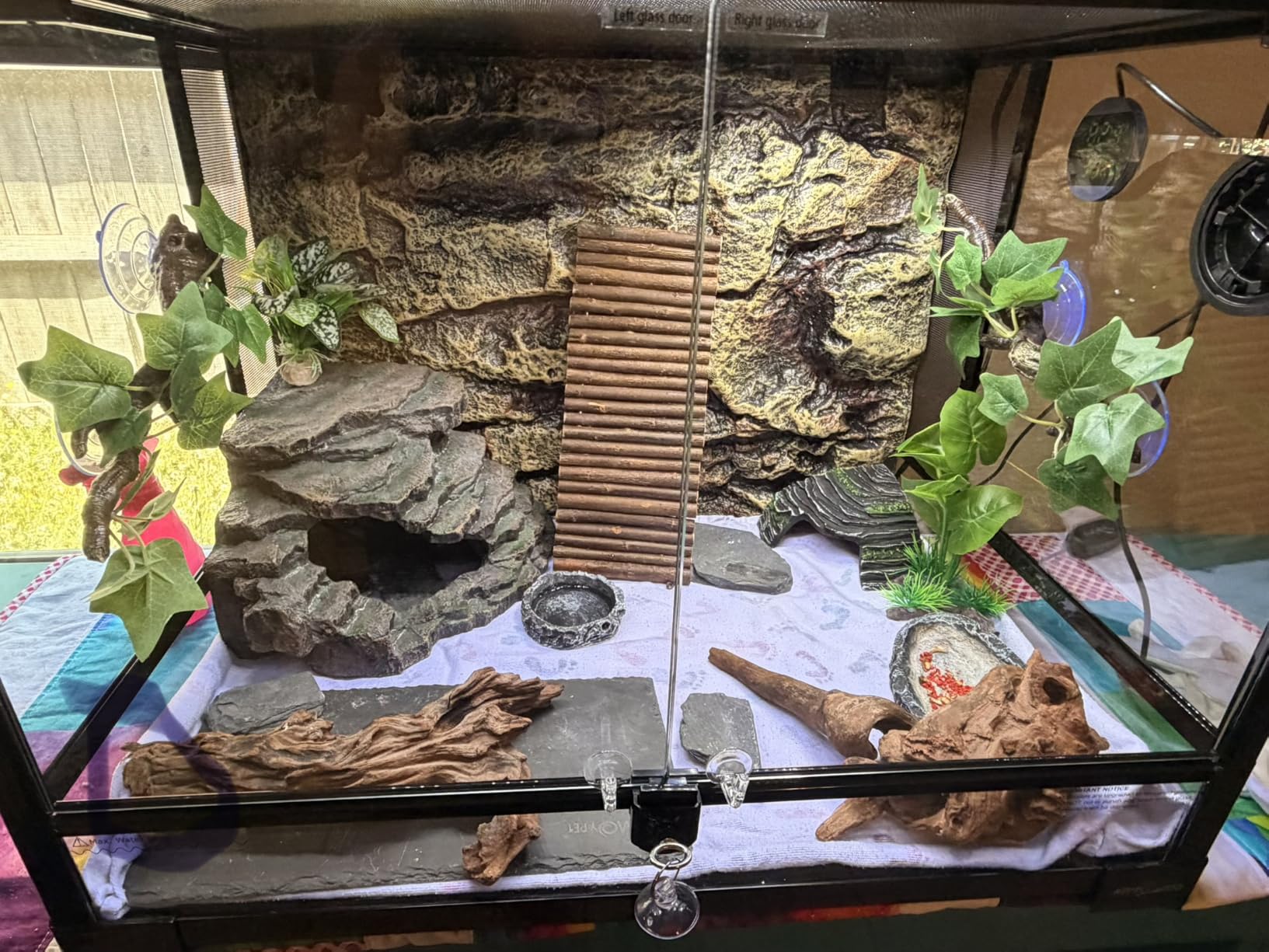 REPTI ZOO 34 Gallon Large Reptile Glass Terrarium Tank with Foam Backgrounds,Double Hinge Door with Screen Ventilation Reptile Terrarium 24