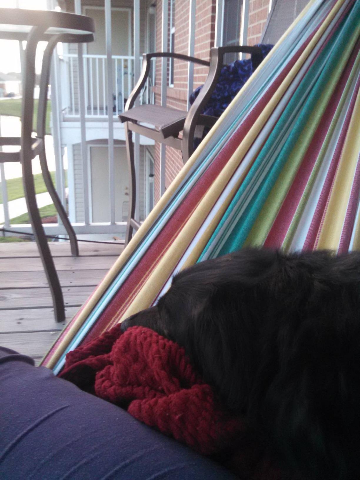 Vivere Double Cotton Hammock, Space Saving Steel Stand, Blue Lagoon, 9 Ft customer photo 2