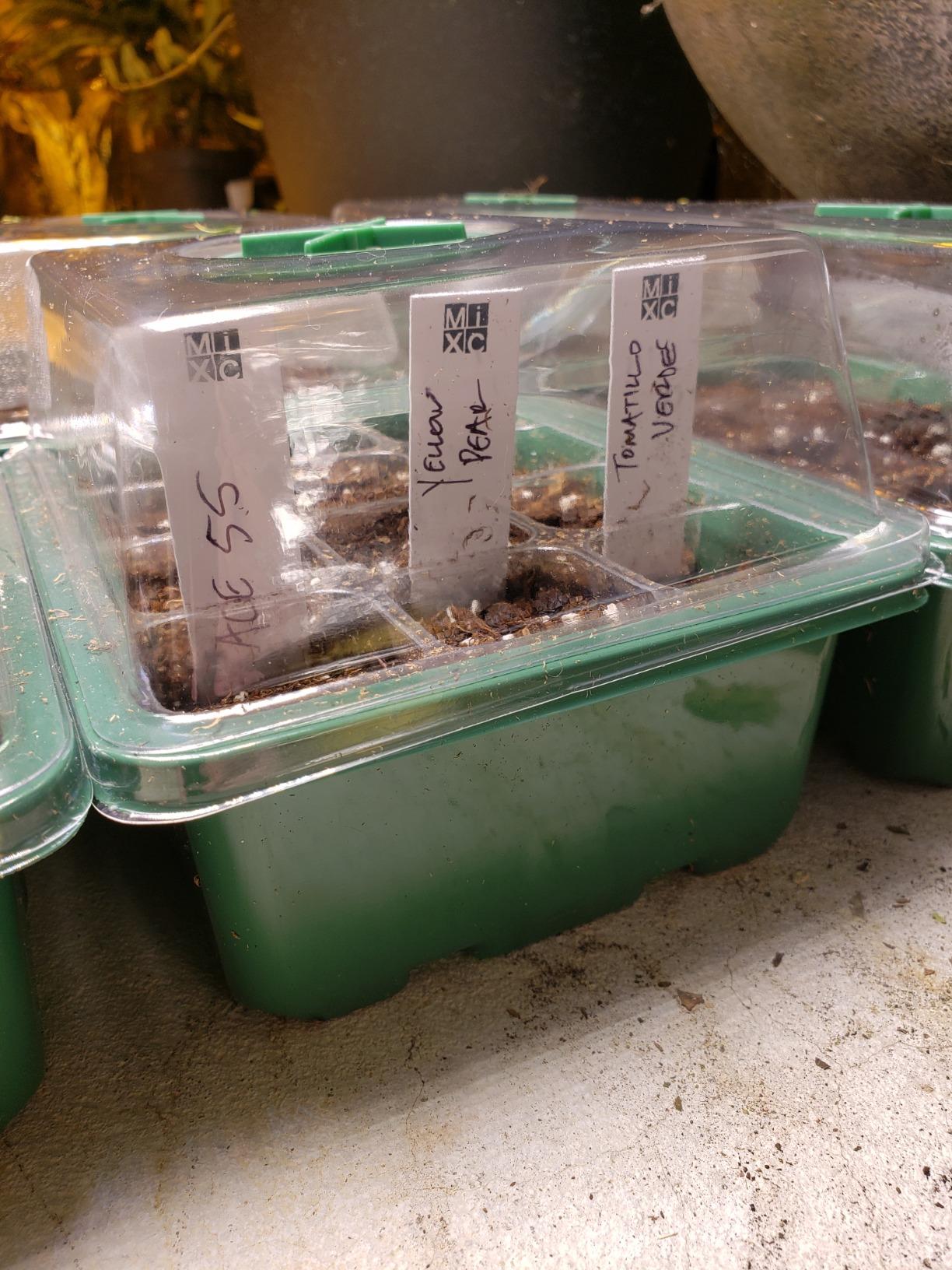 MIXC 10 Pack Seed Starter Tray, 120Cell Stater Kit with Humidity Dome Green customer photo 1