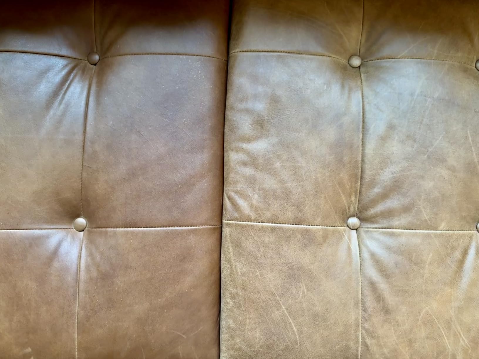Lexol All Leather Conditioner for Car Seats, Furniture, Jackets, 16.9 Oz customer photo 2