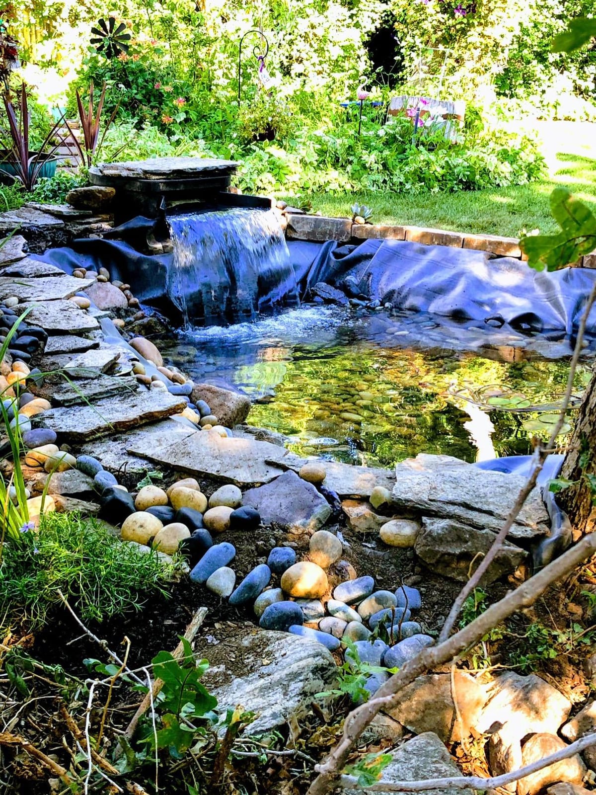 HALF OFF PONDS Complete Pro 5200 GPH Pond Kit 20 x 25 Ft EPDM Liner customer photo 1