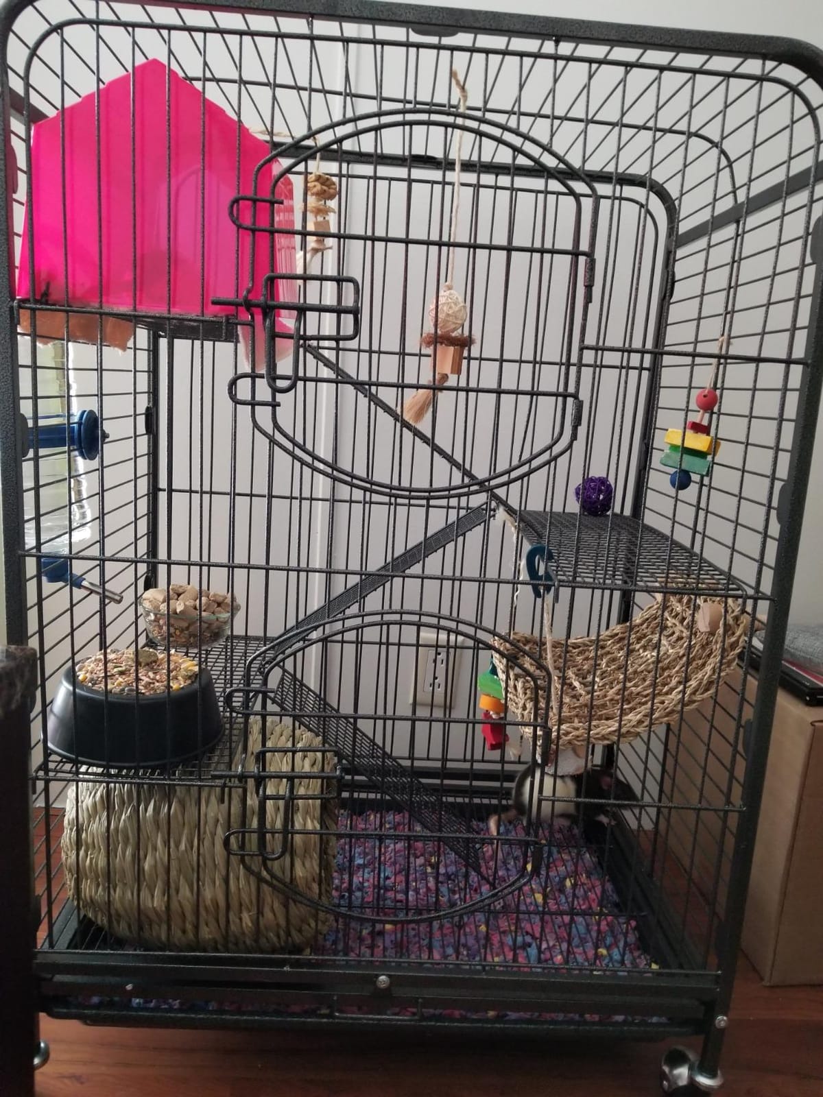 SUPER DEAL 37.2 Inches Metal Ferret Cage Chinchilla 4 Tiers Small Animal Cage with 3 Ladders/ 2 Front Doors/Food Bowl/Water Bottle/Slide Out Trays/Swivel Casters,Black customer photo 2