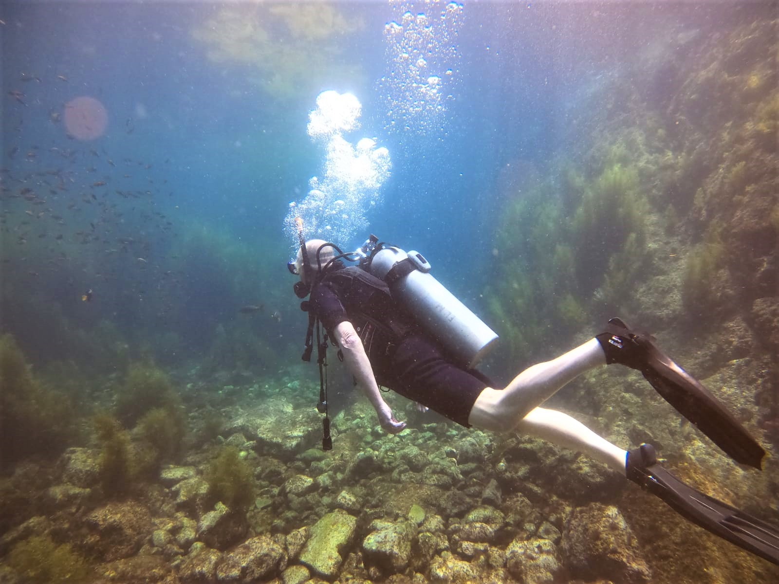Seaskin Mens 3mm Shorty Wetsuit Womens, Full Body Diving Suit Front Zip customer photo 1