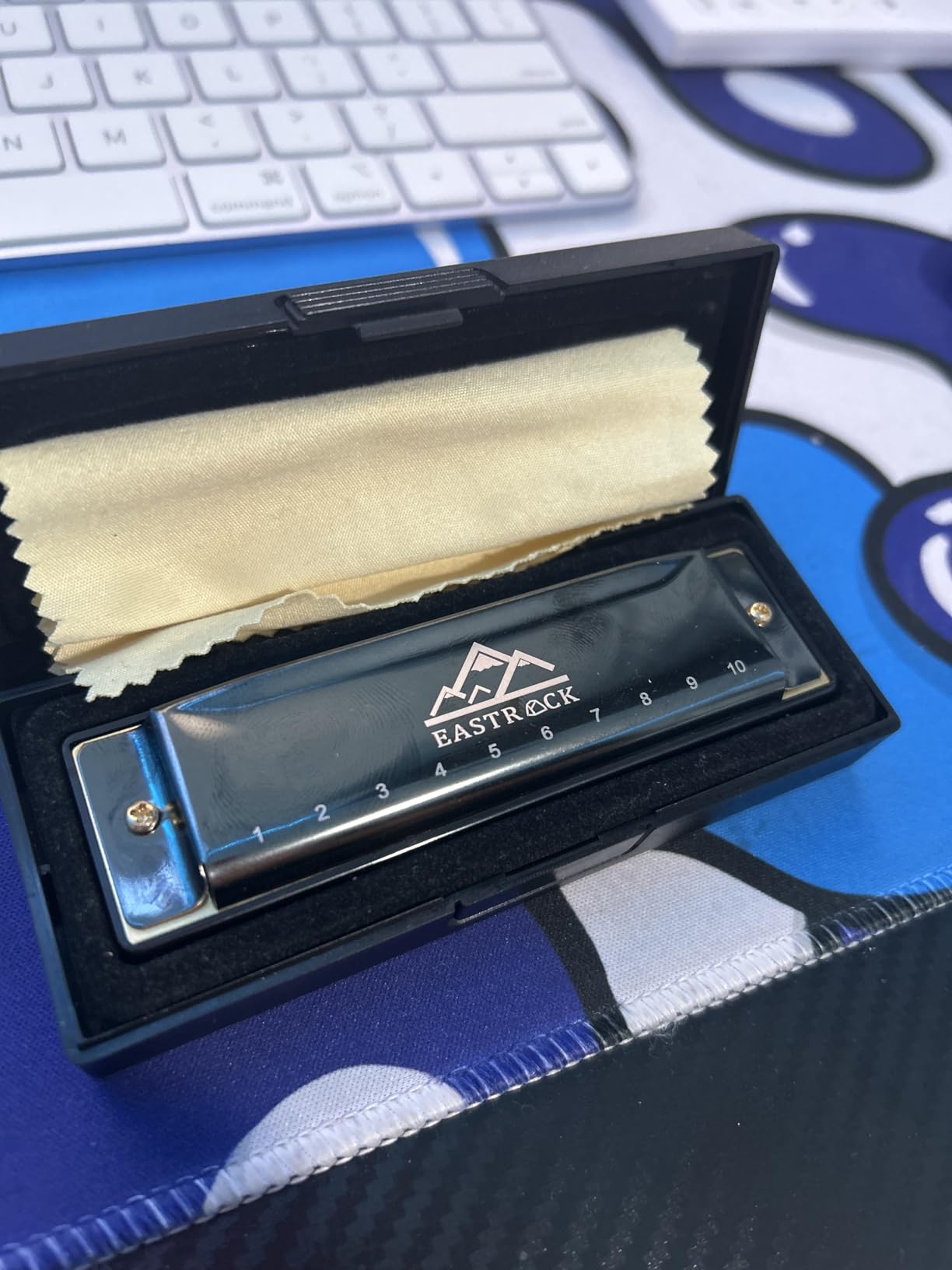 EastRock 10 Hole Blues Harmonica C Key Black with Case for Adults Beginner customer photo 1