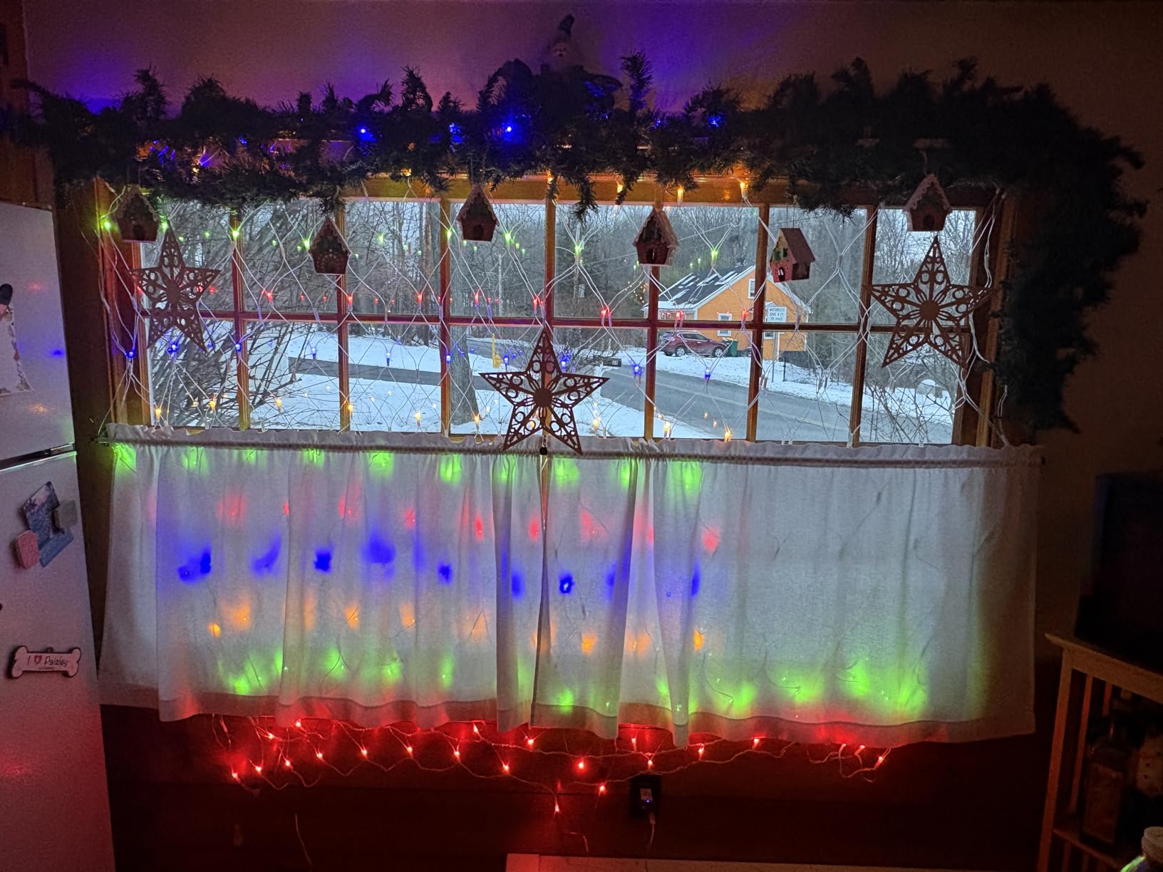 LYHOPE 12ft x 5ft 360 LED Christmas Net Lights, 8 Modes Low Voltage Mesh Christmas Decorative Lights for Xmas Trees, Bushes, Wedding, Garden, Outdoor, Indoor Decor (Multi-Color) customer photo 1