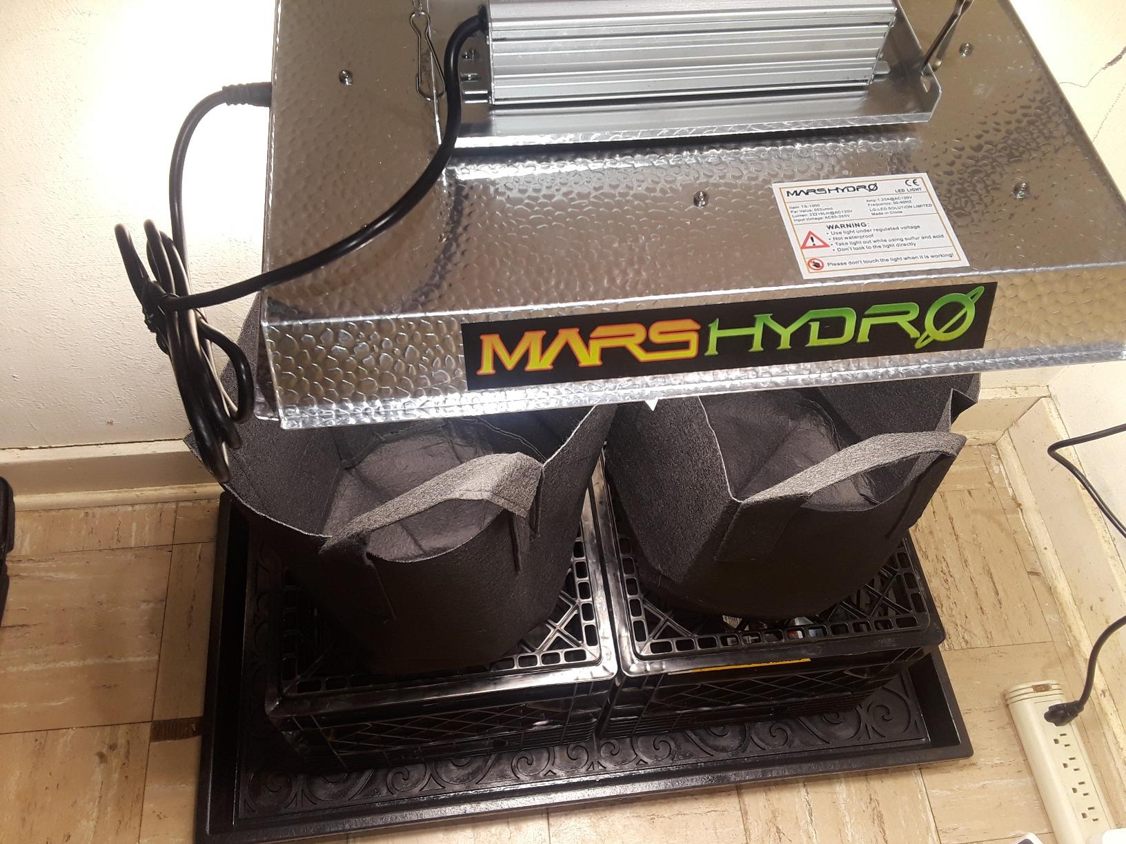 MARS HYDRO 150W TS1000 LED Grow Light for Indoor Plants Full Spectrum customer photo 2
