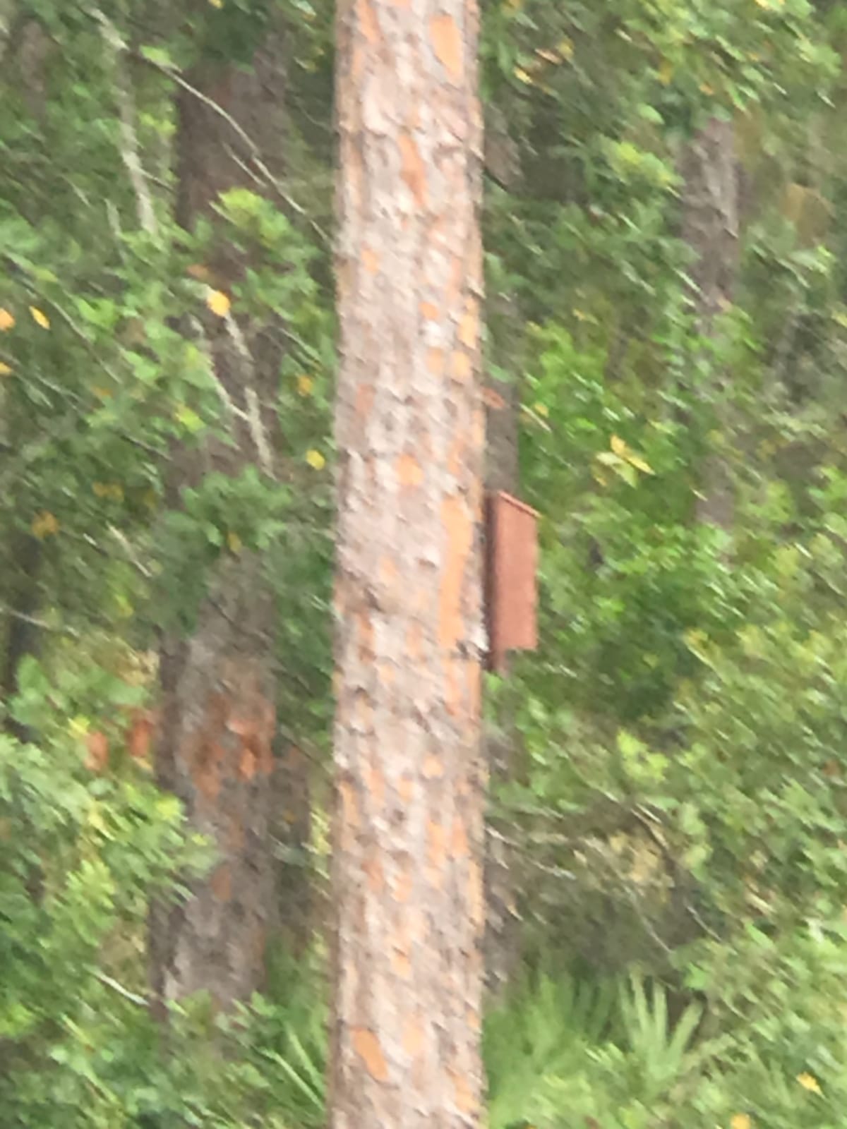 INCLY Bat House for Outdoors 15