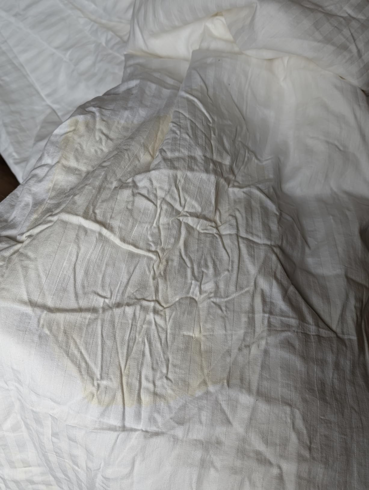 CUDDLE DREAMS Pure Silk Comforter (Lightweight for Summer, Full) customer photo 1
