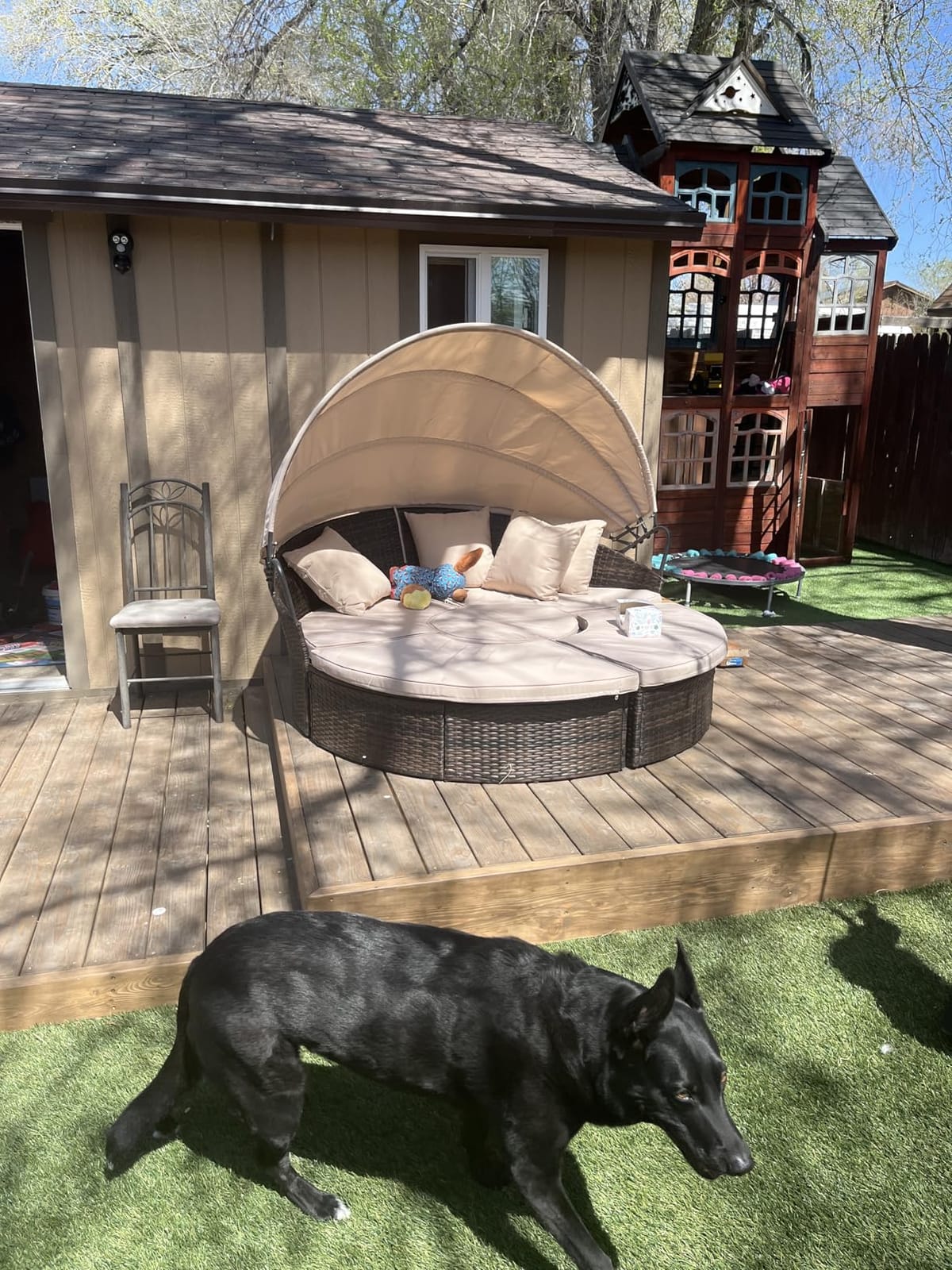 Outdoor Patio Furniture Canopy Daybed Round Sofas, 4 Pieces Seating Separates Cushioned Seats, Black Wicker, Lawn Poolside Garden, Grey customer photo 2