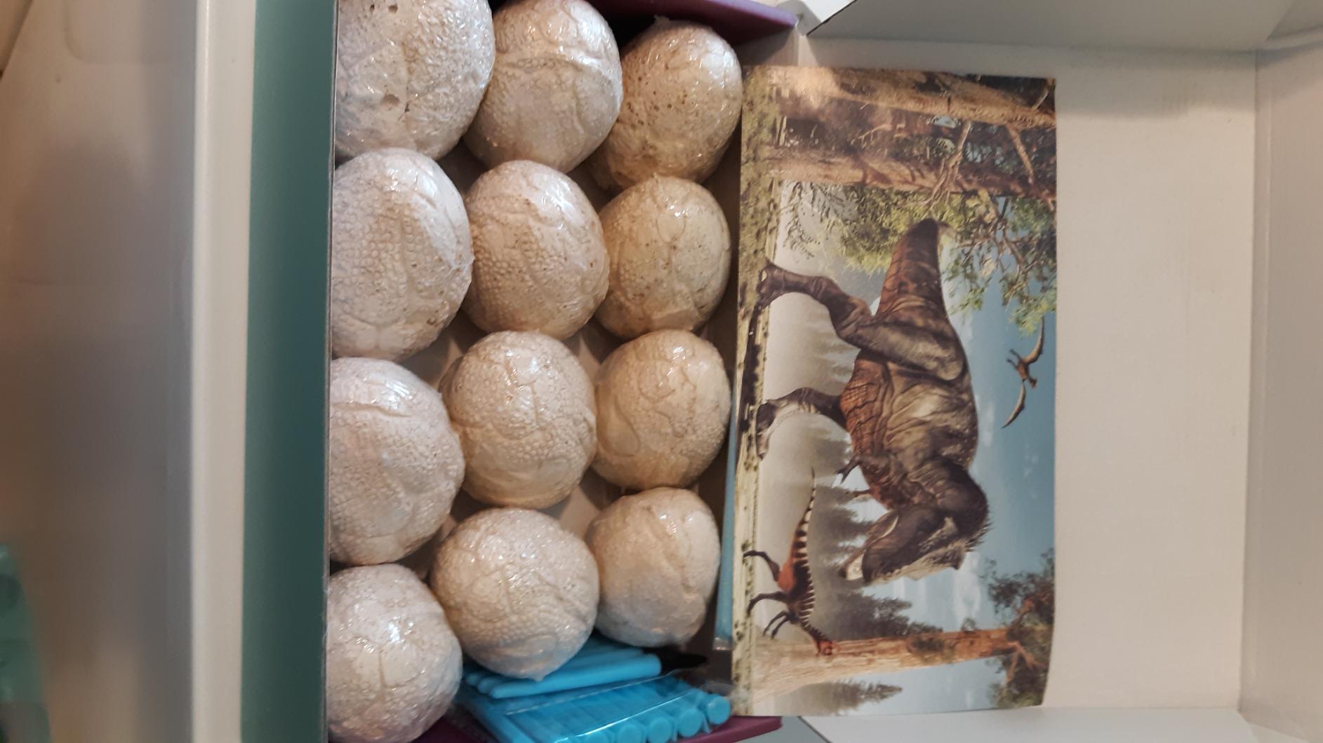 Dig Up Dinosaur Fossil Eggs, Easter Digging Toy for Kids 3-5 6-12 customer photo 1