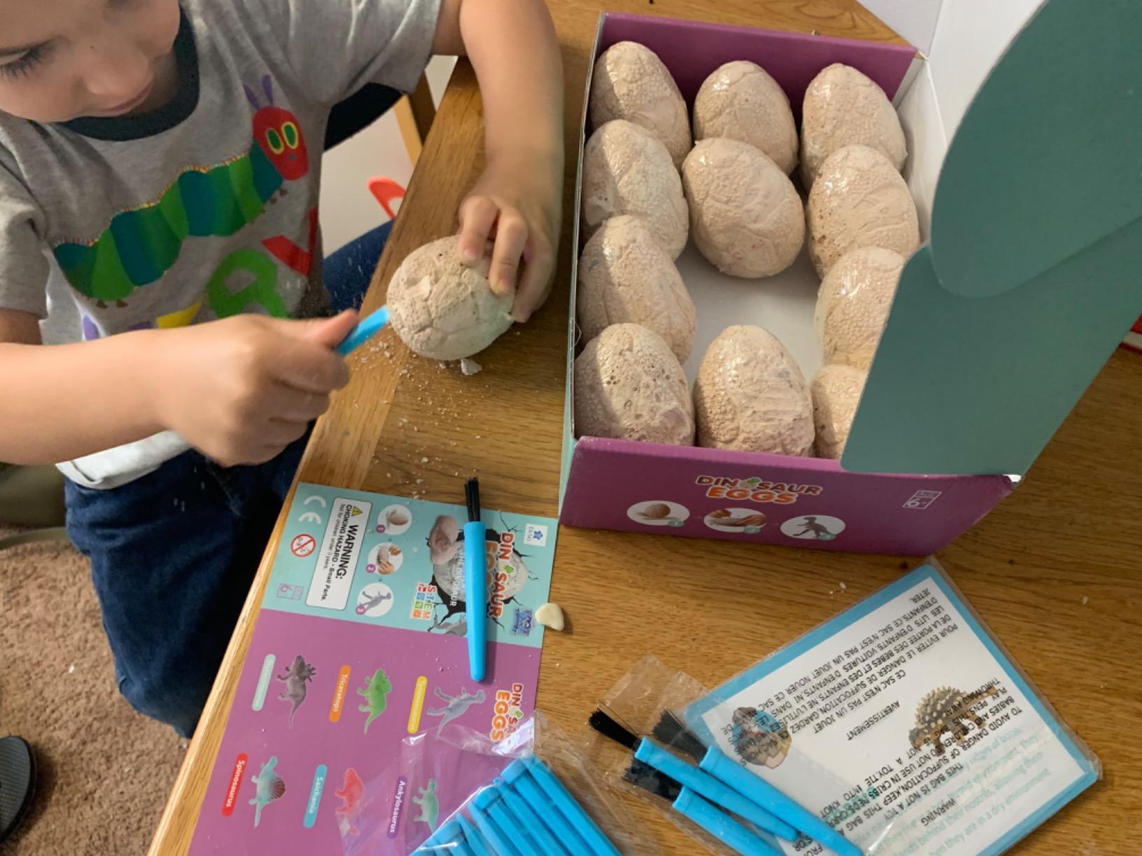 Dig Up Dinosaur Fossil Eggs, Easter Digging Toy for Kids 3-5 6-12 customer photo 2