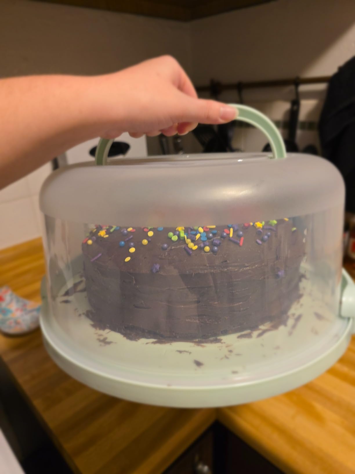 Top Shelf Elements Round Cake Carrier Two Sided Cake Holder Serves as Five Section Serving Tray, Portable Fits 10 inch Cake, Box Comes With Handle, Container Holds Pies (Green) customer photo 1