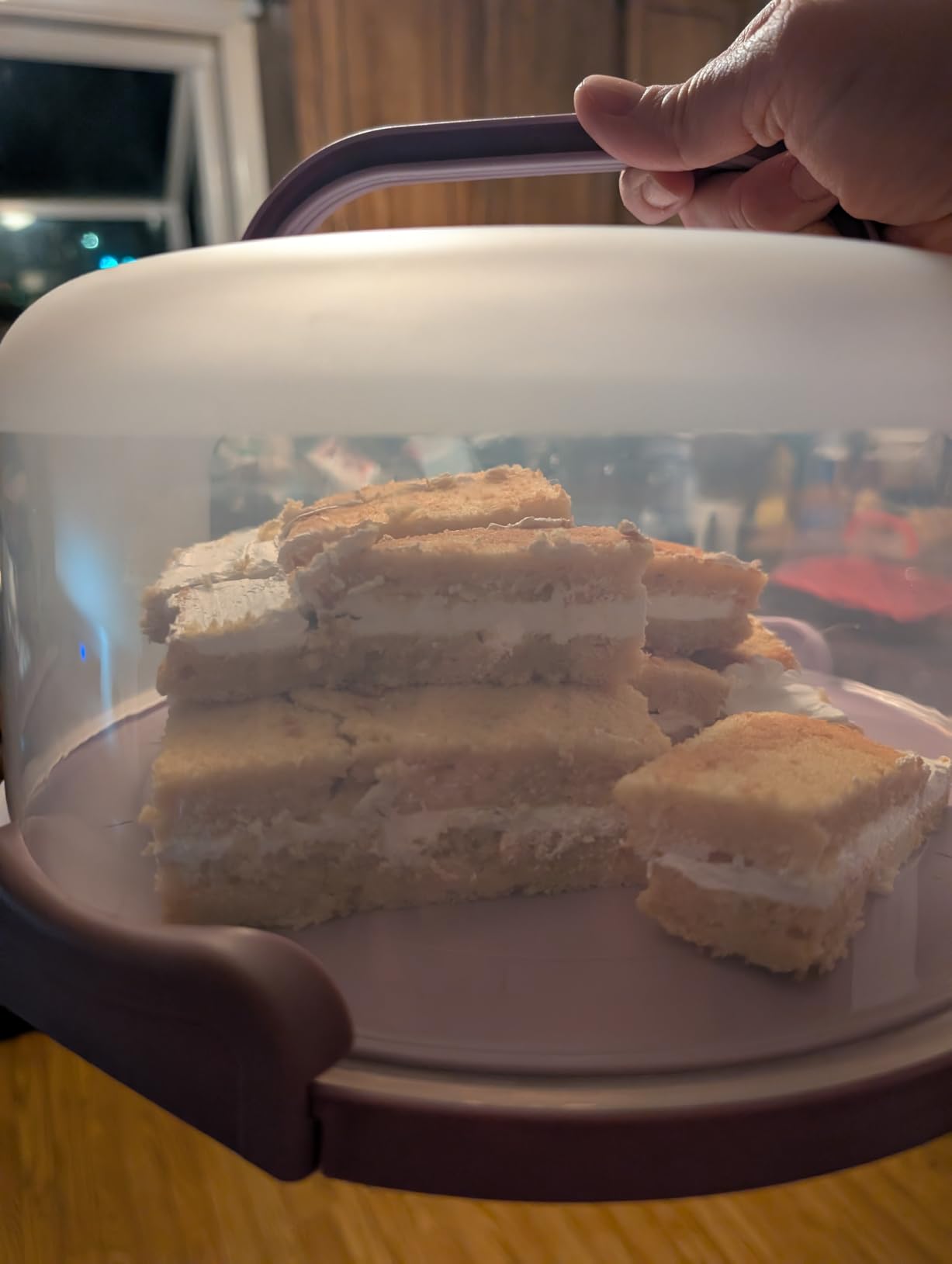 Top Shelf Elements Round Cake Carrier Two Sided Cake Holder Serves as Five Section Serving Tray, Portable Fits 10 inch Cake, Box Comes With Handle, Container Holds Pies (Green) customer photo 2