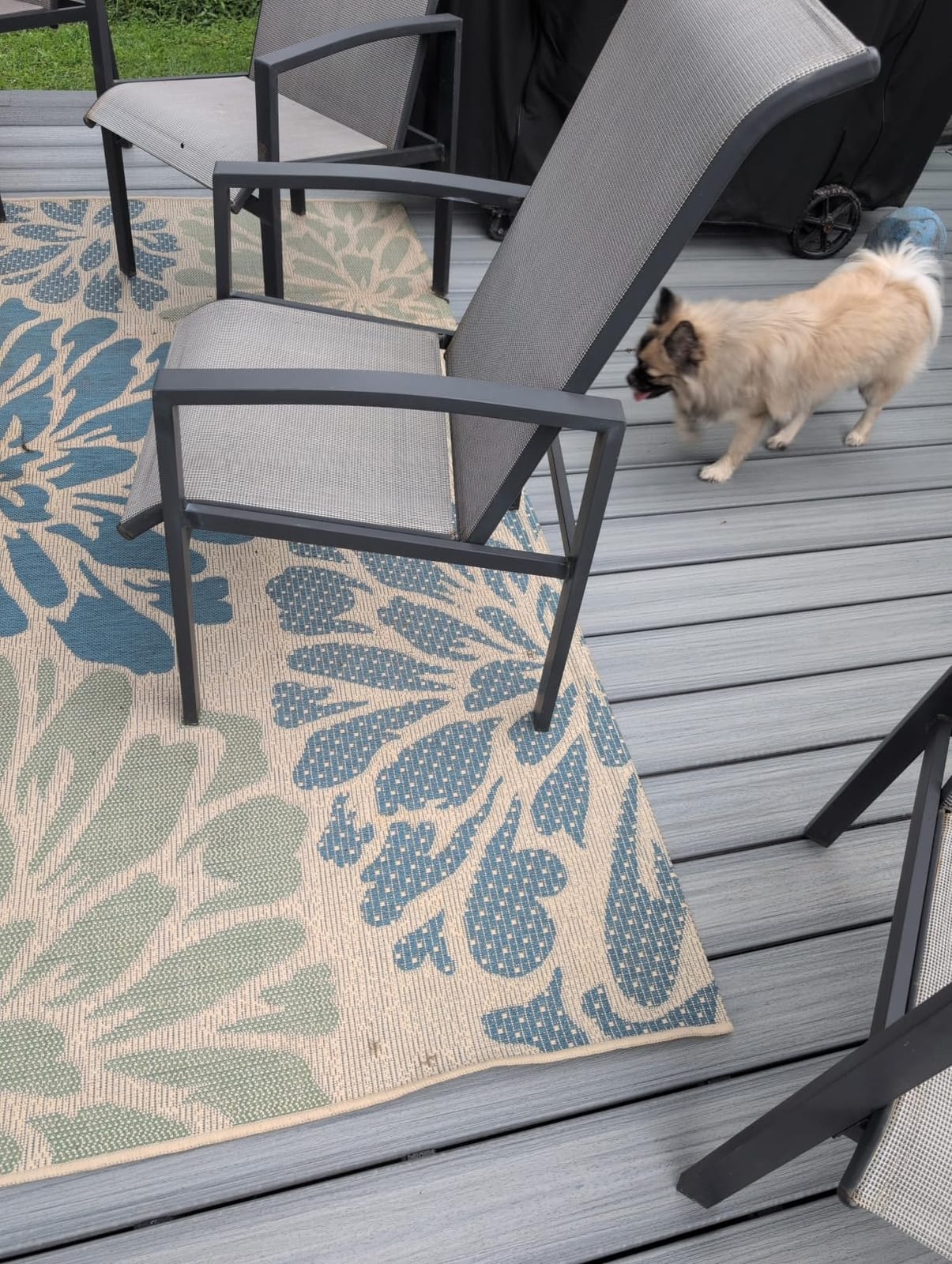 JONATHAN Y Floral Textured Weave Indoor Outdoor Area Rug 5X8 Navy/Aqua, Zinnia Modern for Backyard, Patio, Porch, Easy-Cleaning, High Traffic, Pet-Friendly, Non-Shedding (SMB110C-5) customer photo 2