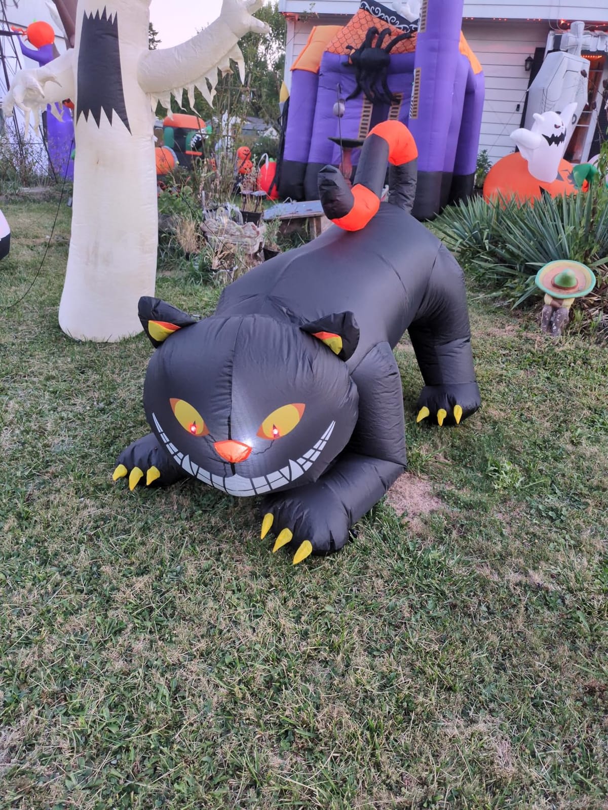 GOOSH 6 FT Halloween Inflatables Outdoor Black Cat with Shakable Head, Blow Up Yard Decoration with LED Lights Built-in for Holiday/Party/Yard/Garden customer photo 1