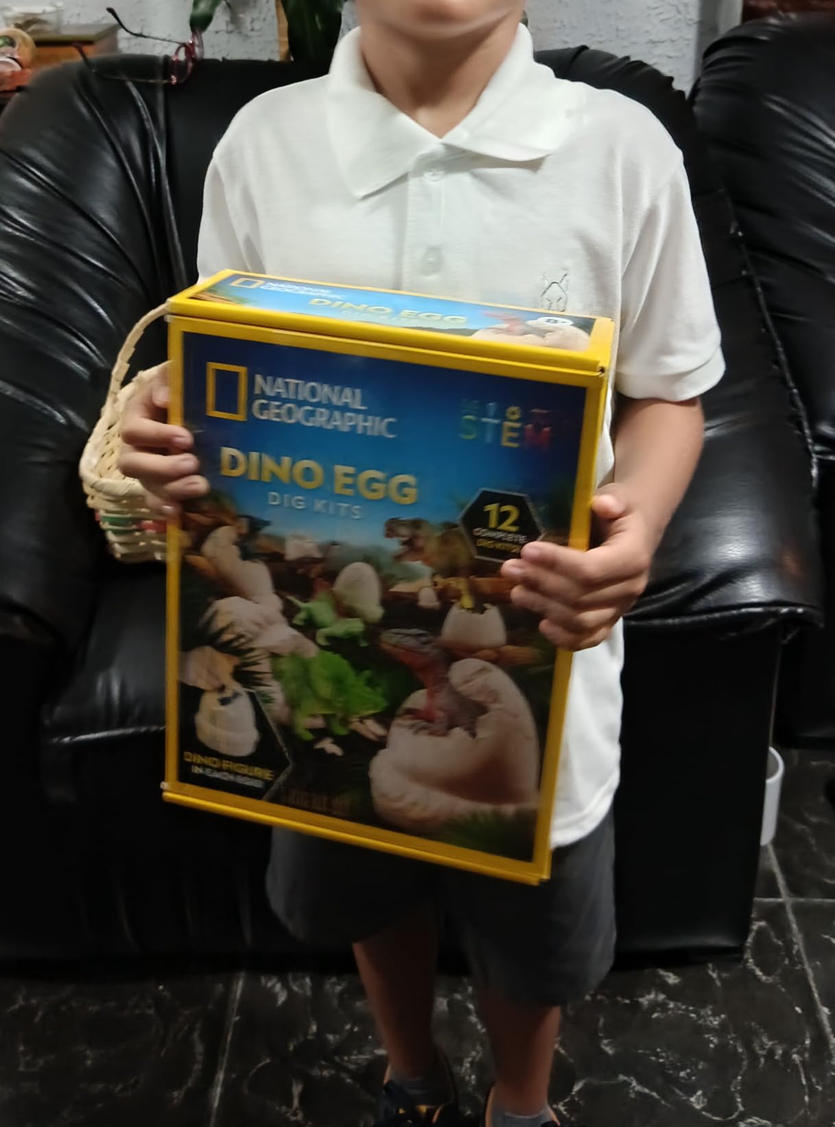National Geographic Dinosaur Dig Kit with 12 Dino Eggs for Kids customer photo 1