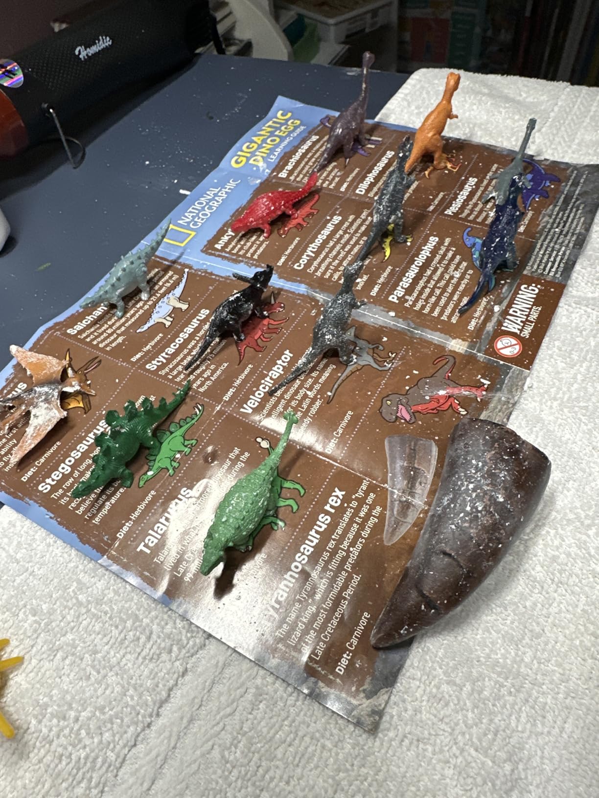 National Geographic Dinosaur Dig Kit with 12 Dino Eggs for Kids customer photo 2