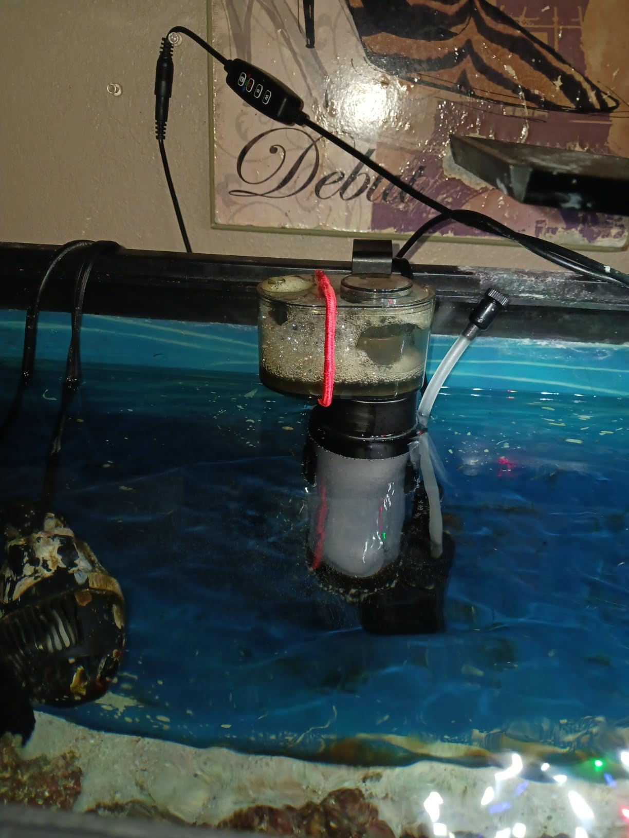 Coralife Biocube Protein Skimmer, Aquarium Skimmer customer photo 1