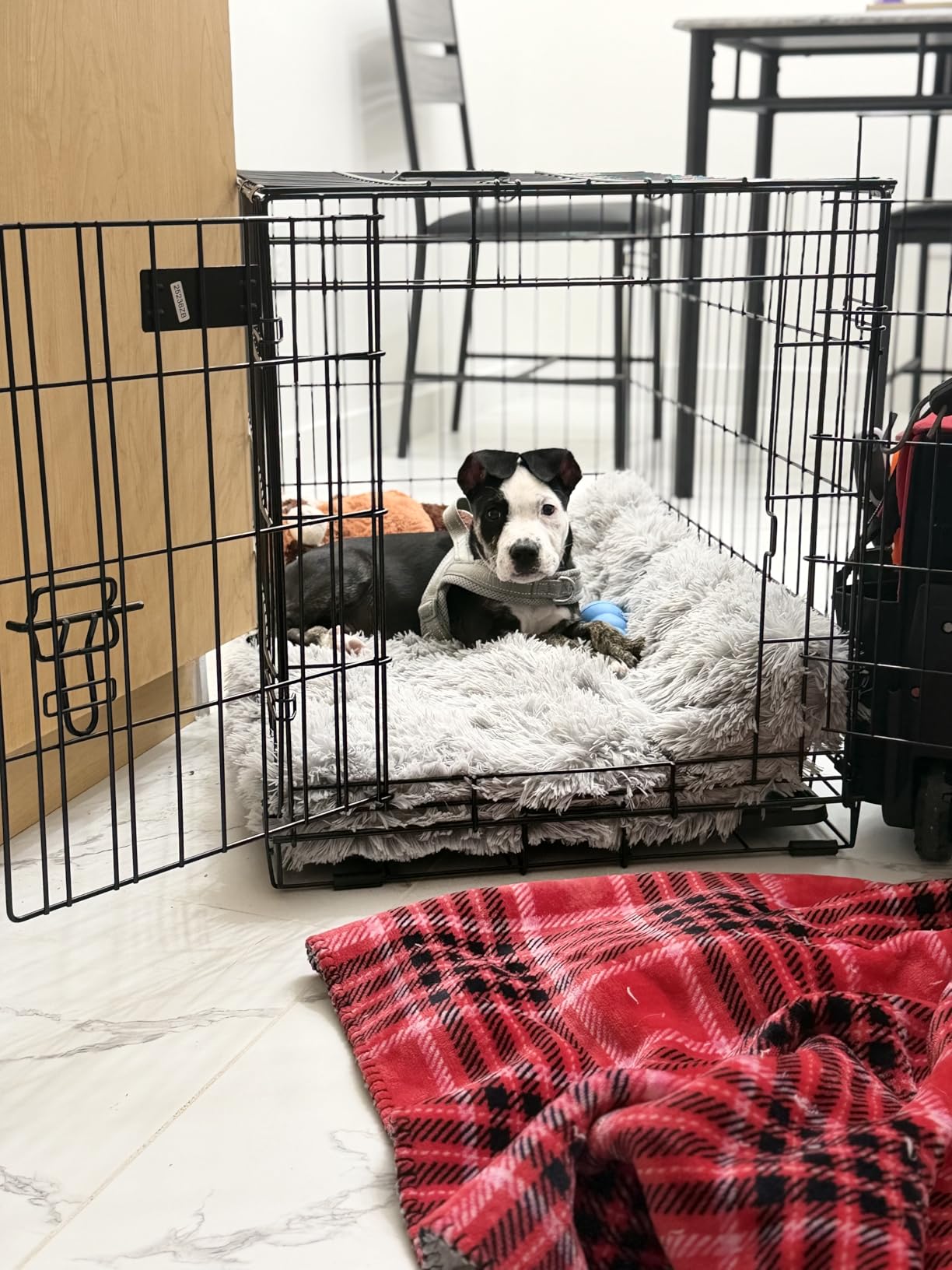Solutions by Midwest 54-Inch Single Door Crate, Giant Breed Dogs, 100+ lbs | Dog Crate with Leak-Proof Tray & Secure Latches, Durable Drop Pin Construction customer photo 1
