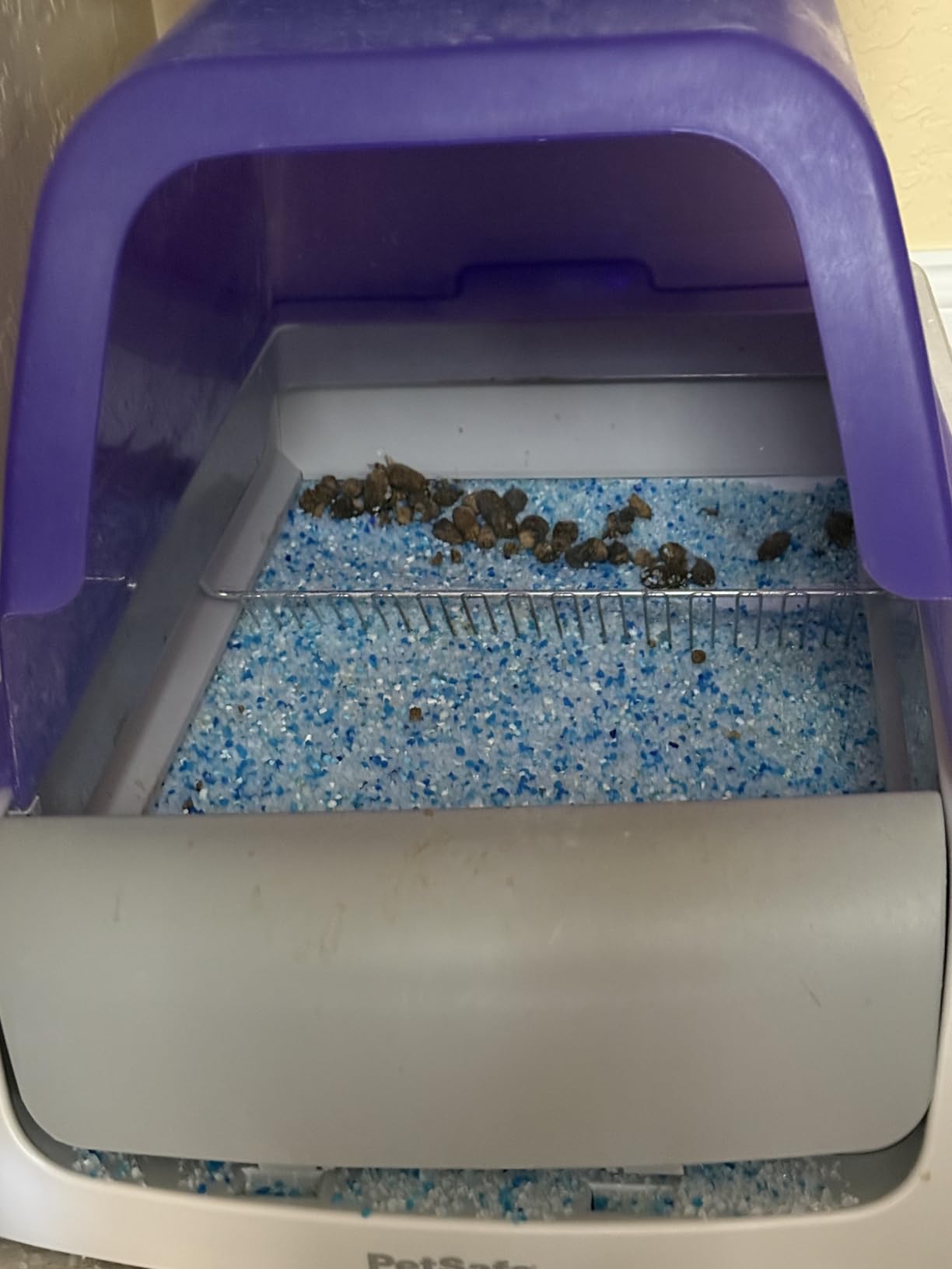 PetSafe ScoopFree Crystal Pro Legacy Self-Cleaning Litter Box, Uncovered customer photo 2