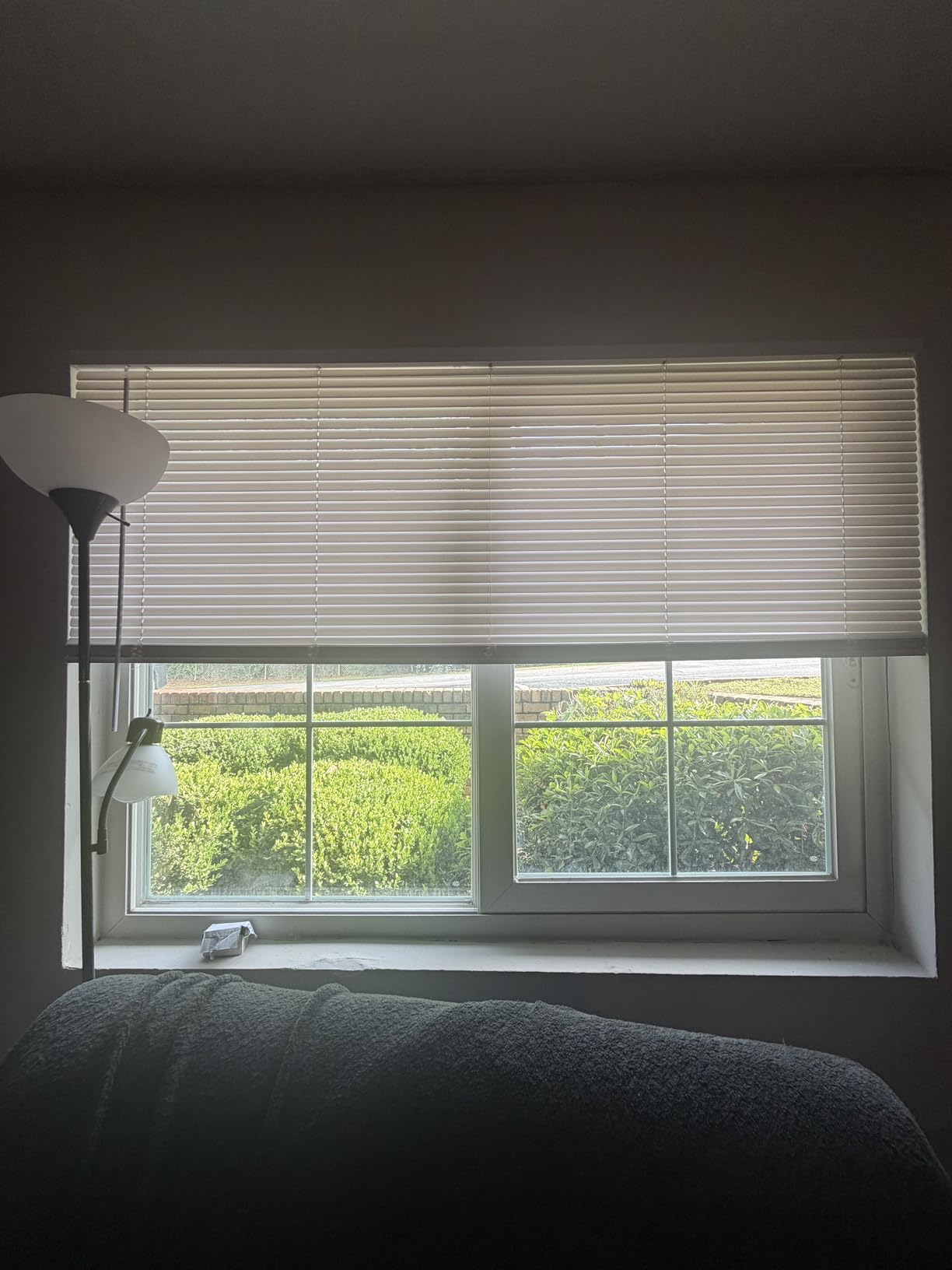CHICOLOGY Cordless Mini Blinds for Indoor Windows, 35