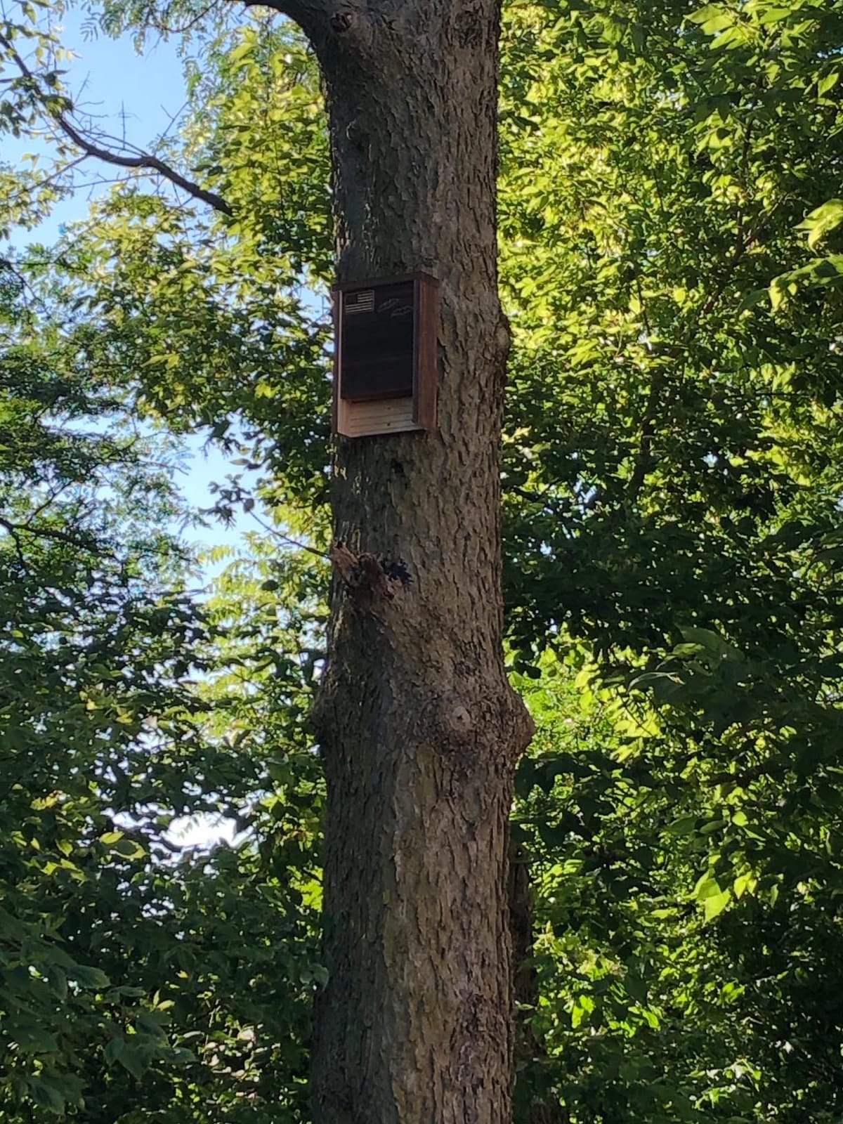 Made in USA, Premium-Grade Red Cedar Bat House, 2 Chamber Bat Box, Easy-to-Install Wooden Bat House Kit, Weather-Resistant Bat Houses for Outdoors, Includes Mounting Screws - Applewood Outdoor customer photo 1