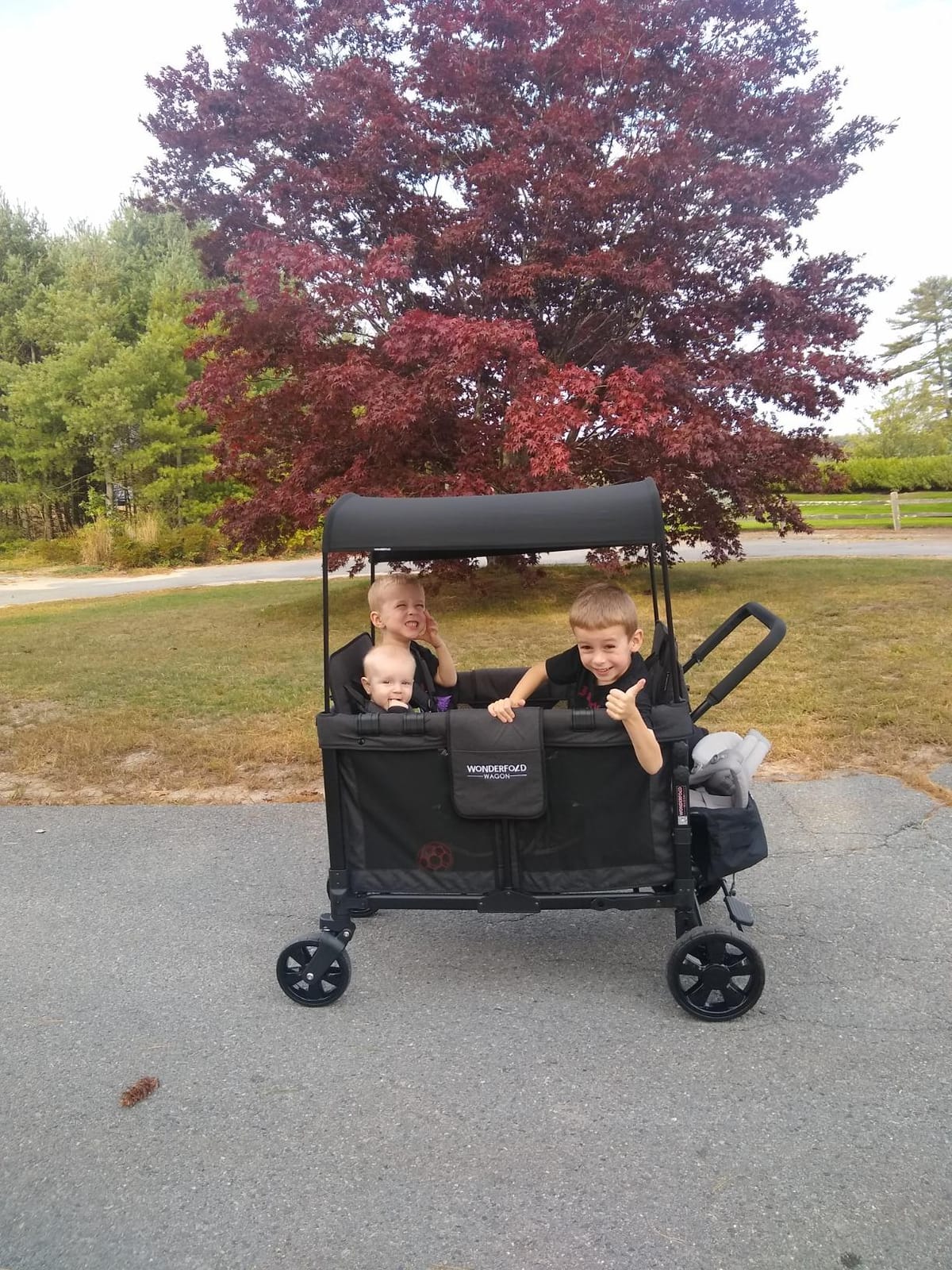 WonderFold W4 Original Stroller Wagon, 4 Seater, Black customer photo 1