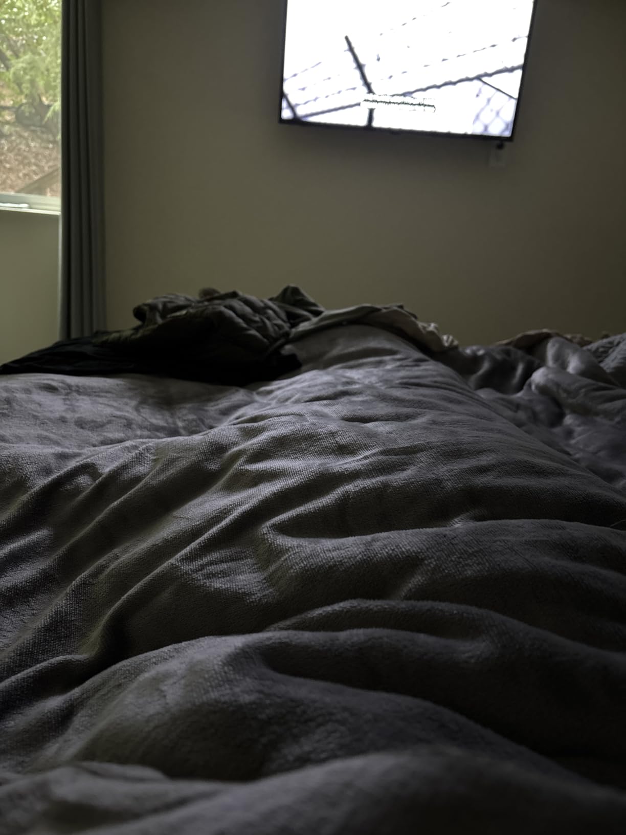 Bare Home Cotton Weighted Blanket (Light Grey, 48