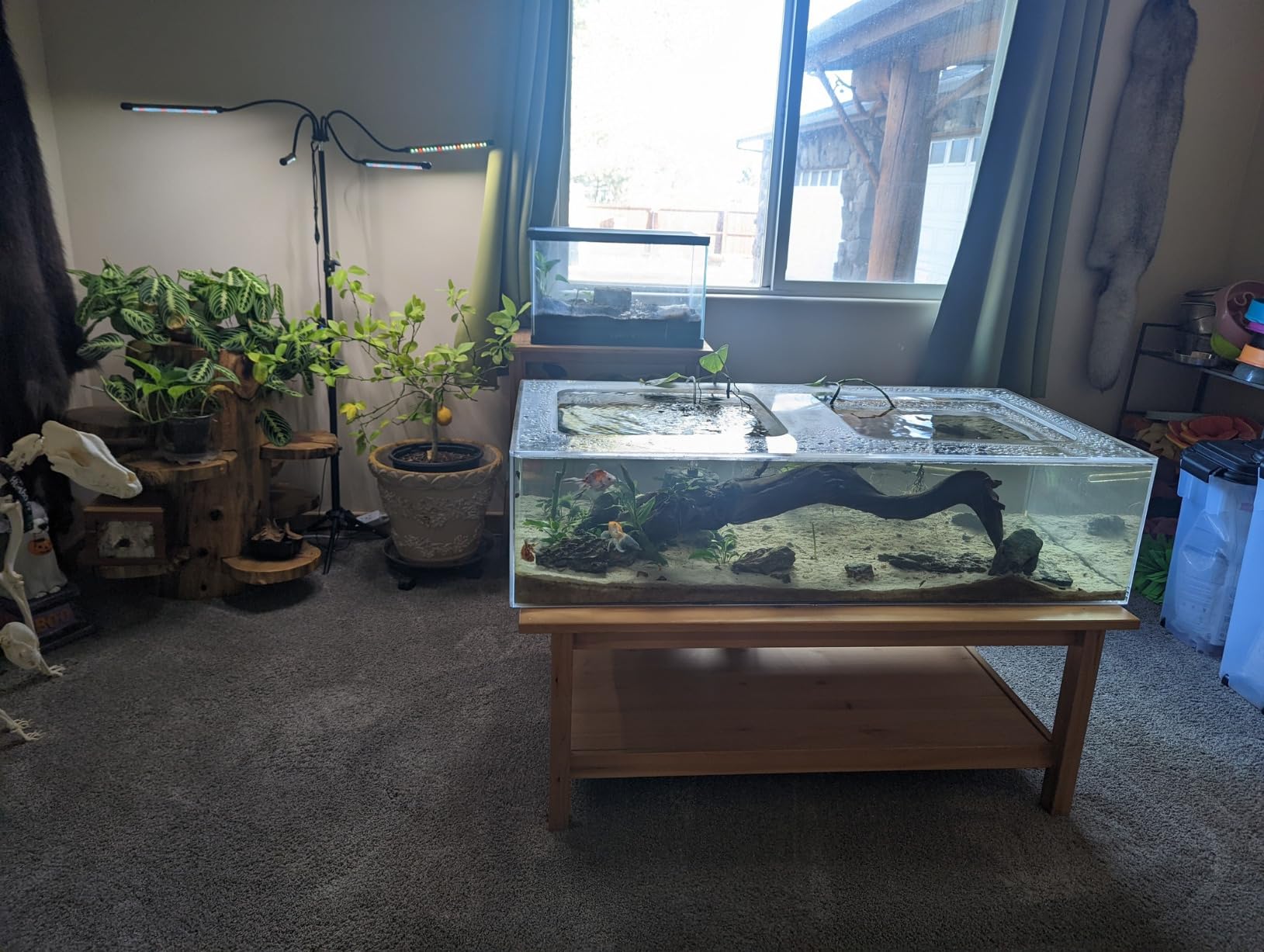 GHodec Grow Light Free Standing, 5500K Full Spectrum Gooseneck LED Lamp customer photo 1