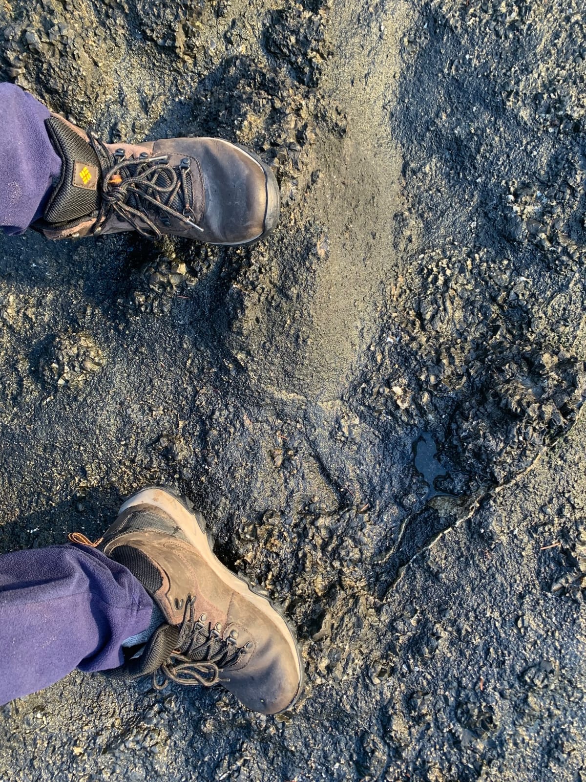 Columbia Men's Newton Ridge Plus II Waterproof Hiking Boot customer photo 1