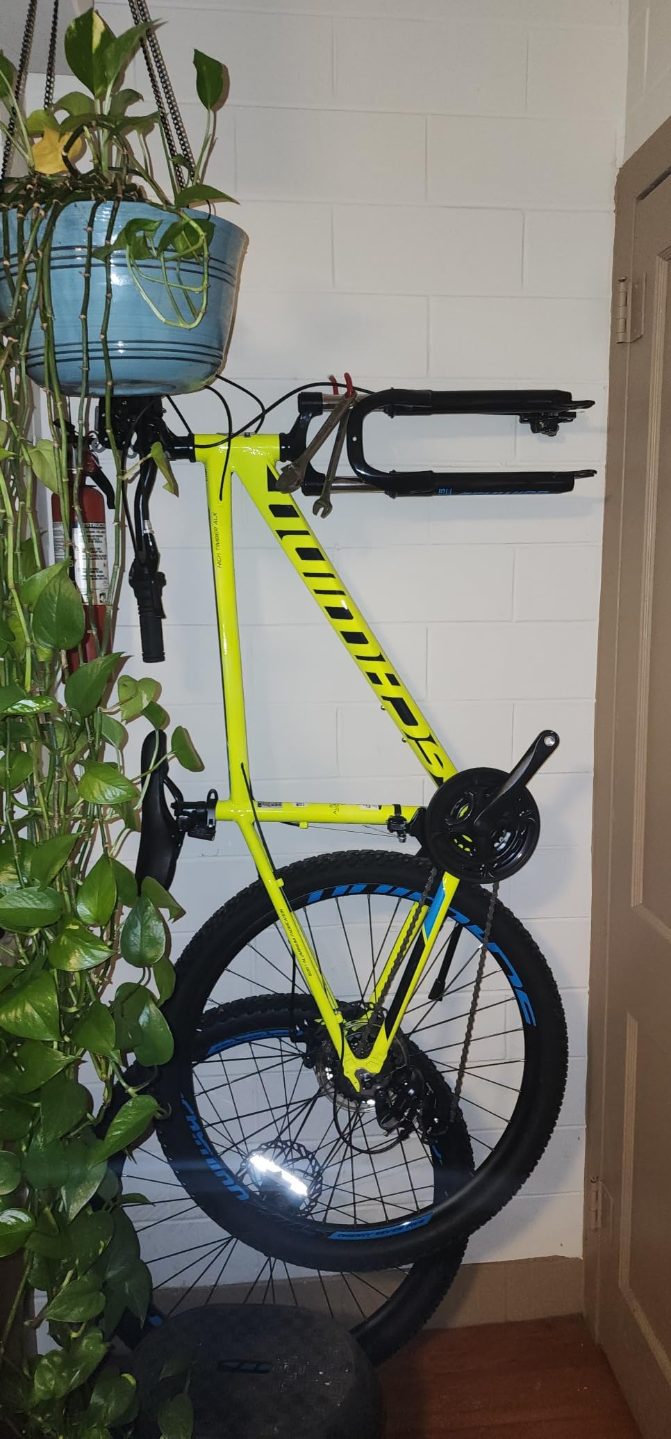 Schwinn High Timber Mountain Bike for Adult Youth Men Women Boys Girls, 24 to 29-Inch Wheels, 7 or 21-Speeds, Front Suspension, Aluminum and Steel Frame Options customer photo 2