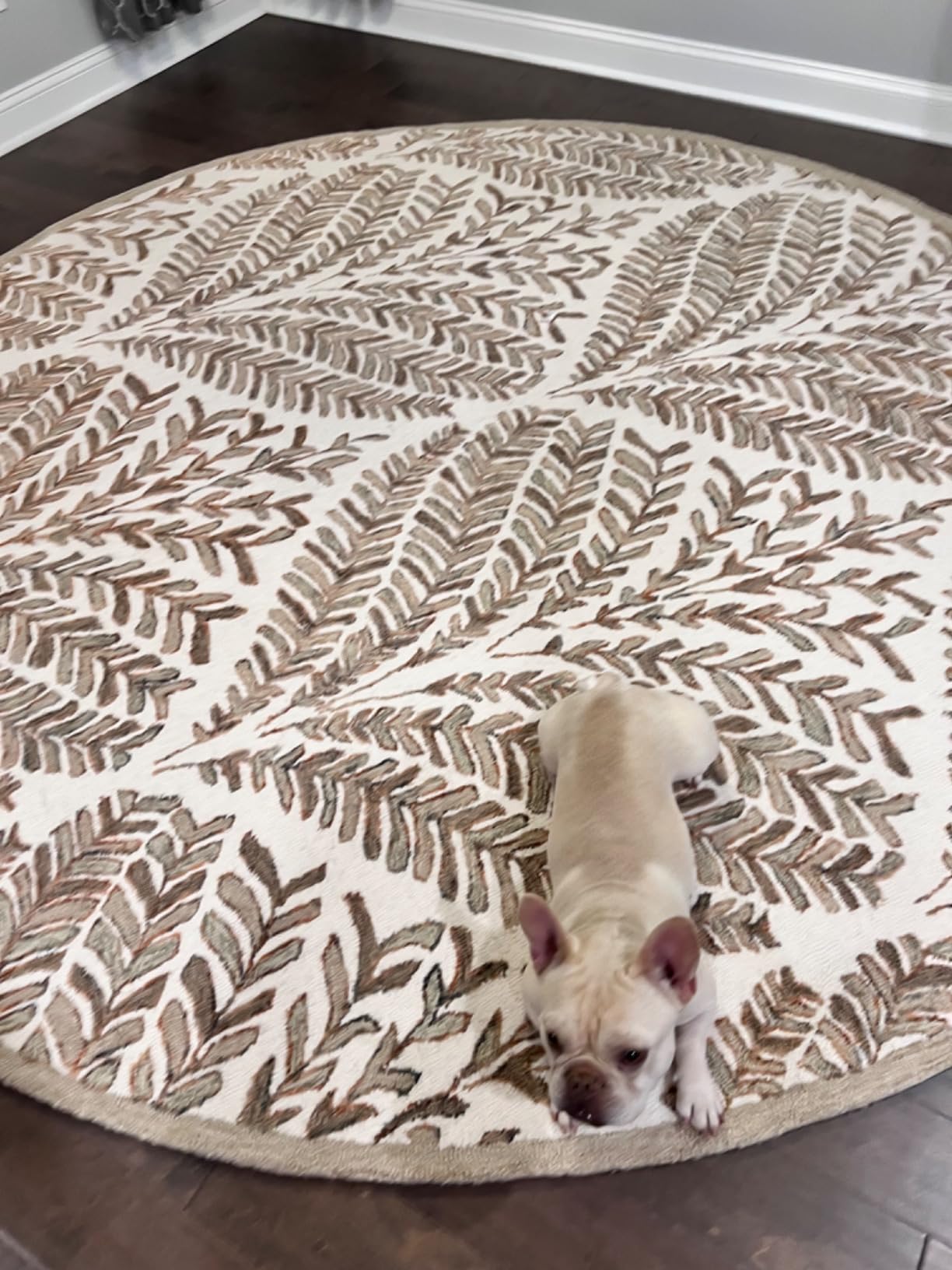 SAFAVIEH Capri Collection Area Rug - 5' x 8', Ivory & Blue, Handmade Wool, Ideal for High Traffic Areas in Living Room, Bedroom (CPR208A) customer photo 2